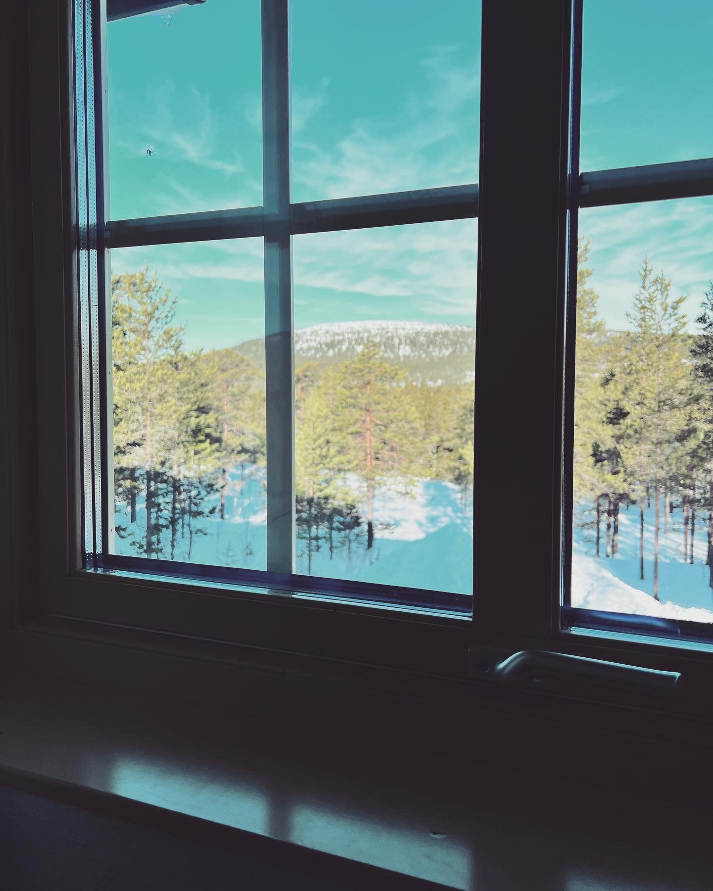Winter in spring