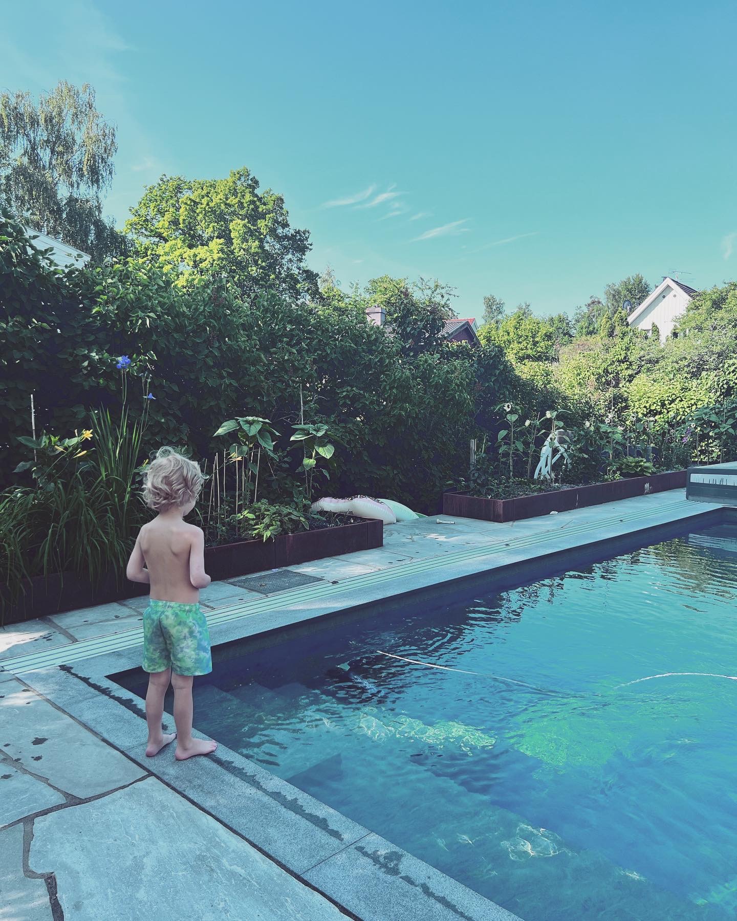 Vacation dreamer