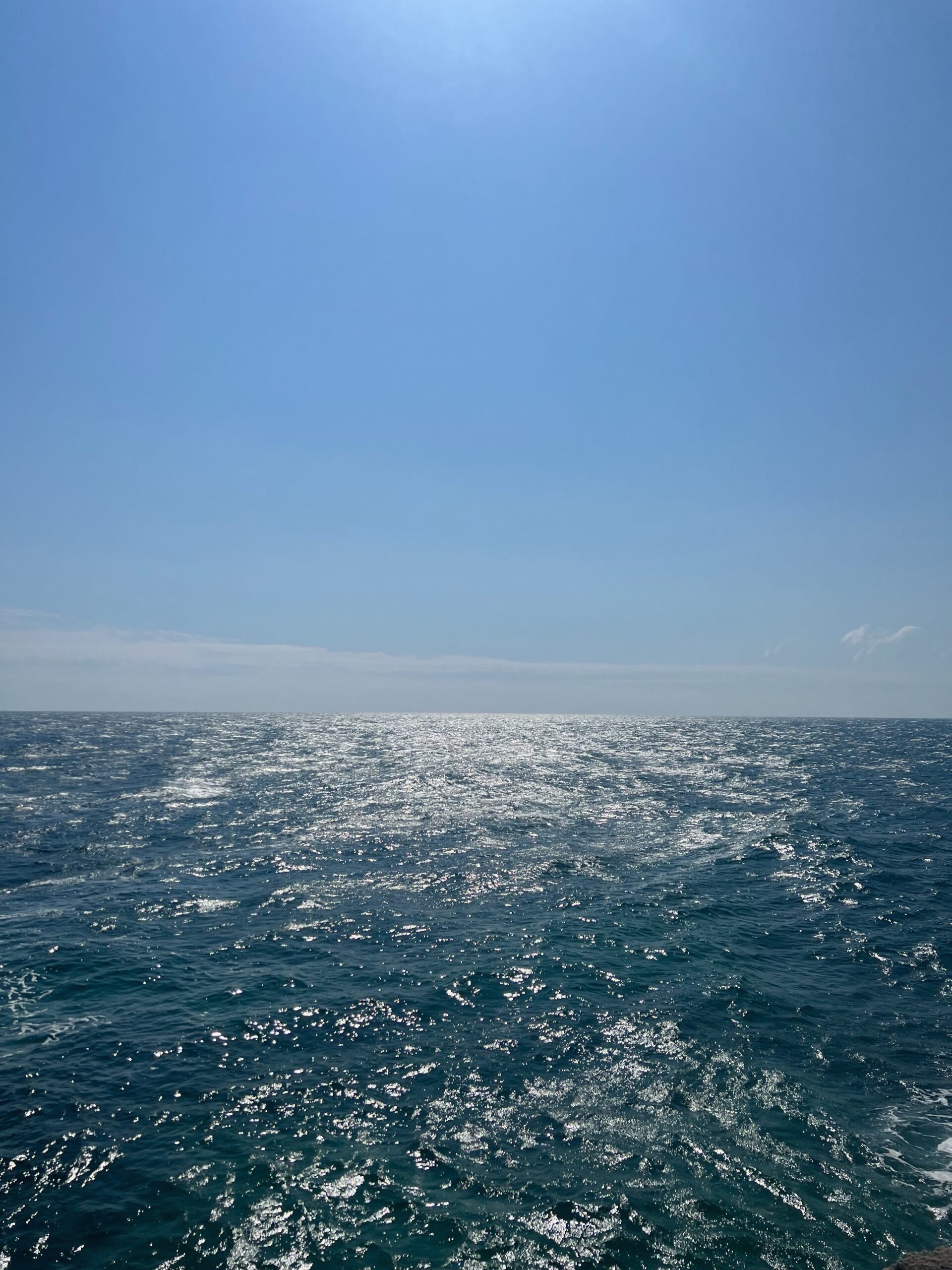 Monopoli