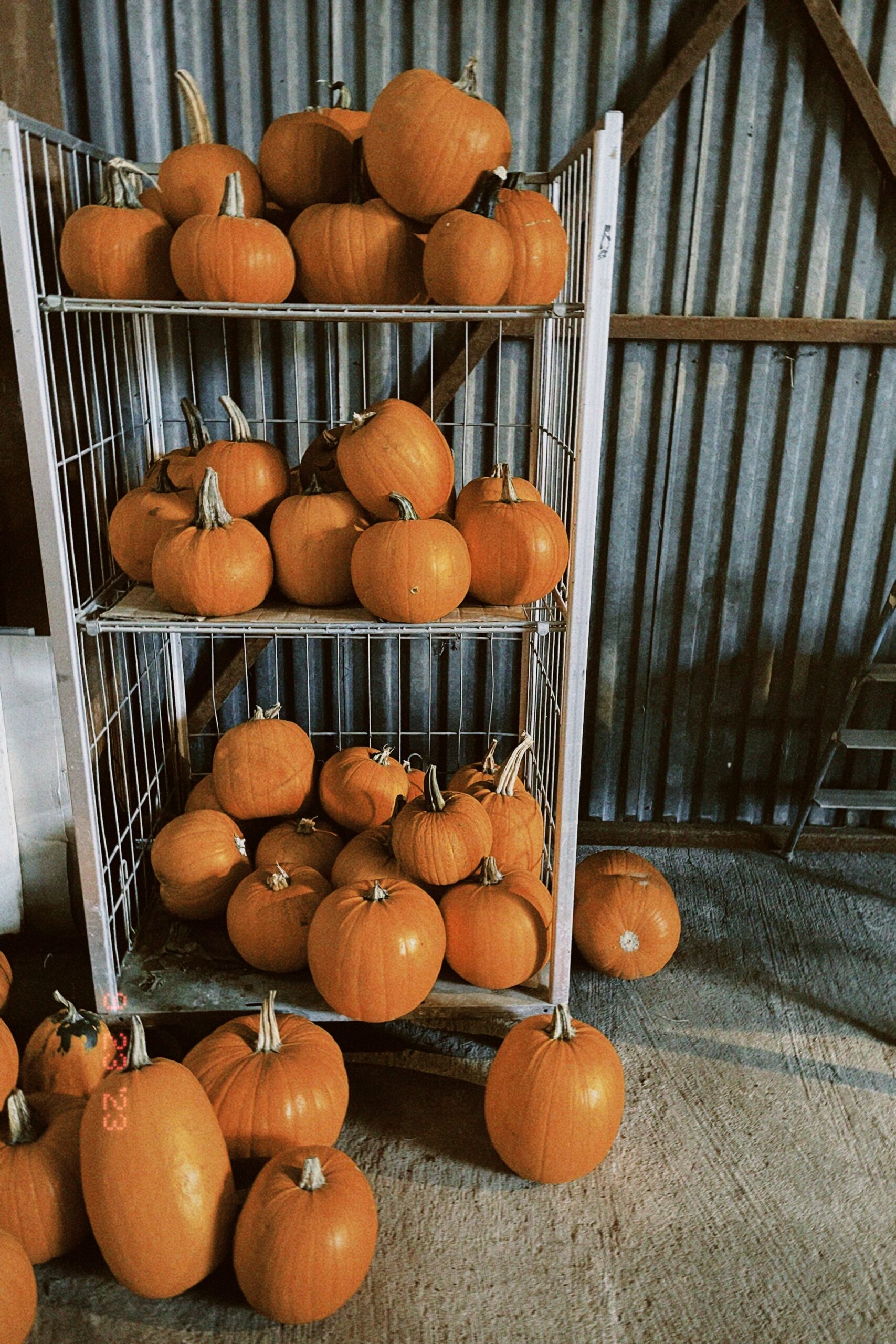 Pumpaplock