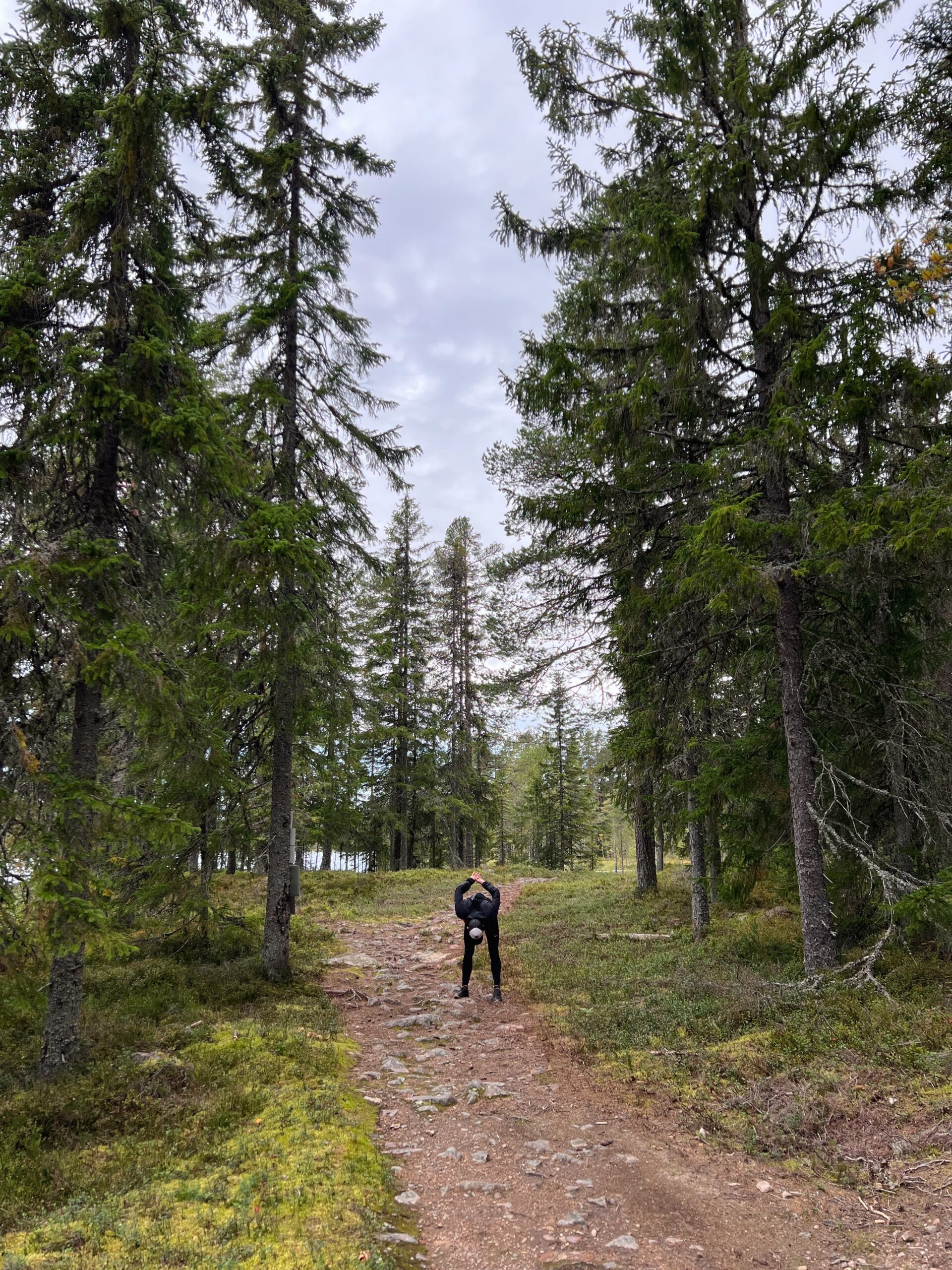 Blånande berg
