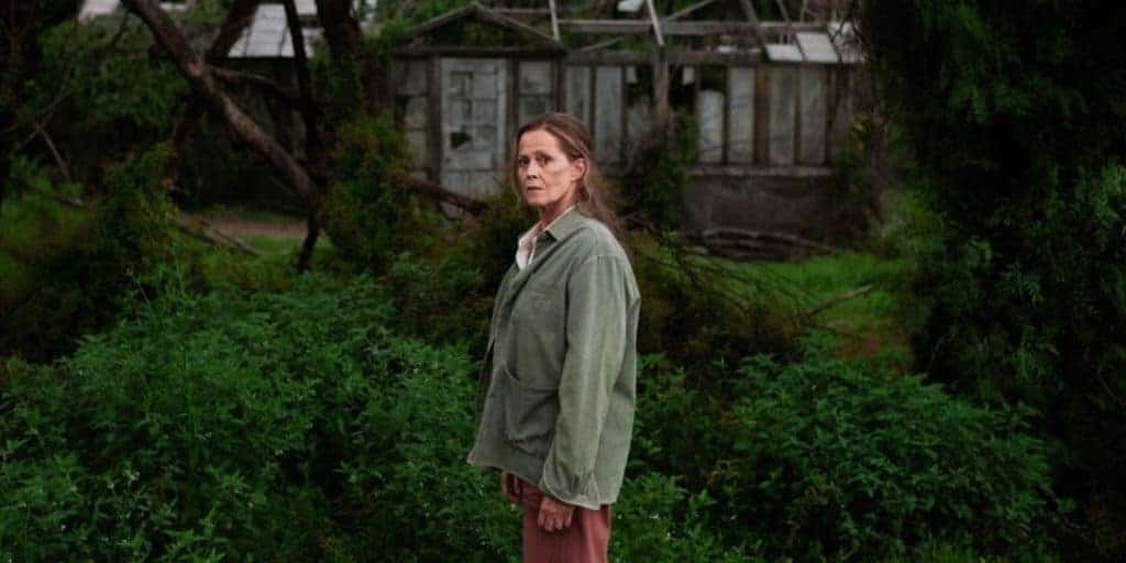 The Lost Flowers of Alice Hart