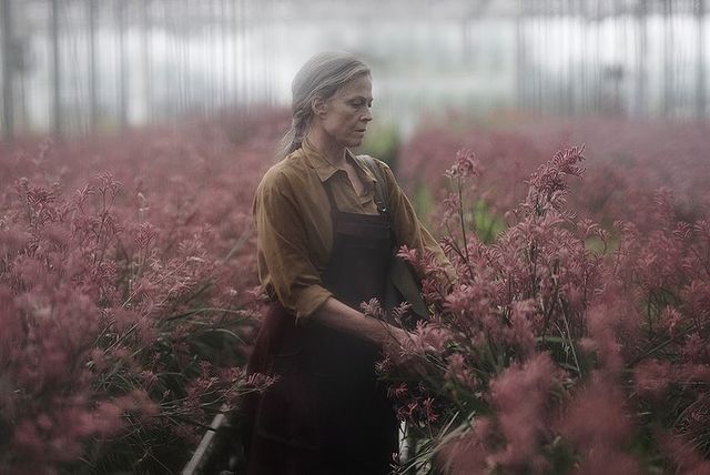 The Lost Flowers of Alice Hart