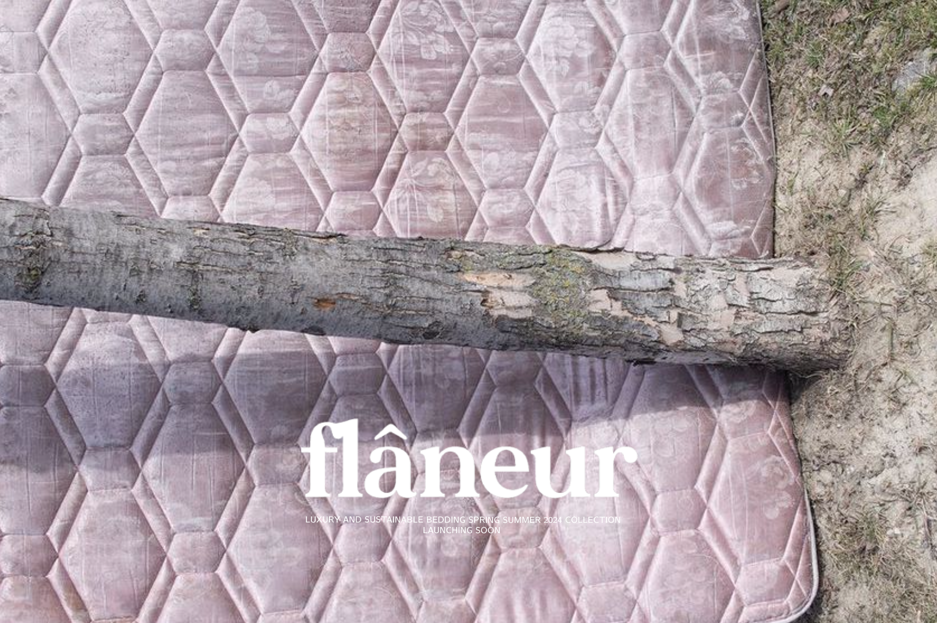 Flâneur