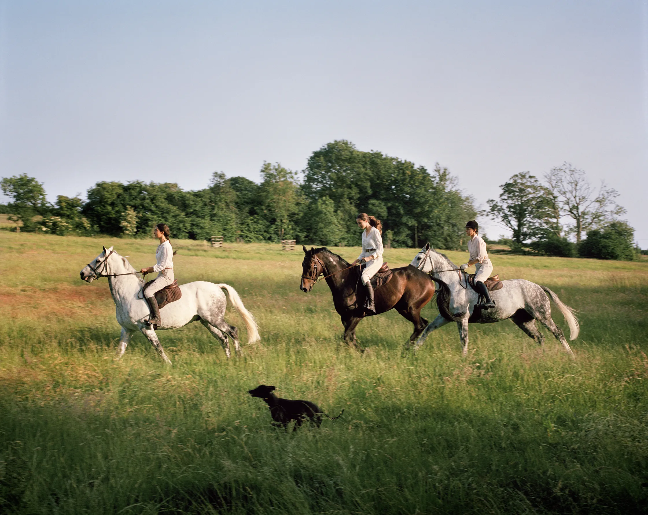 Cotswolds