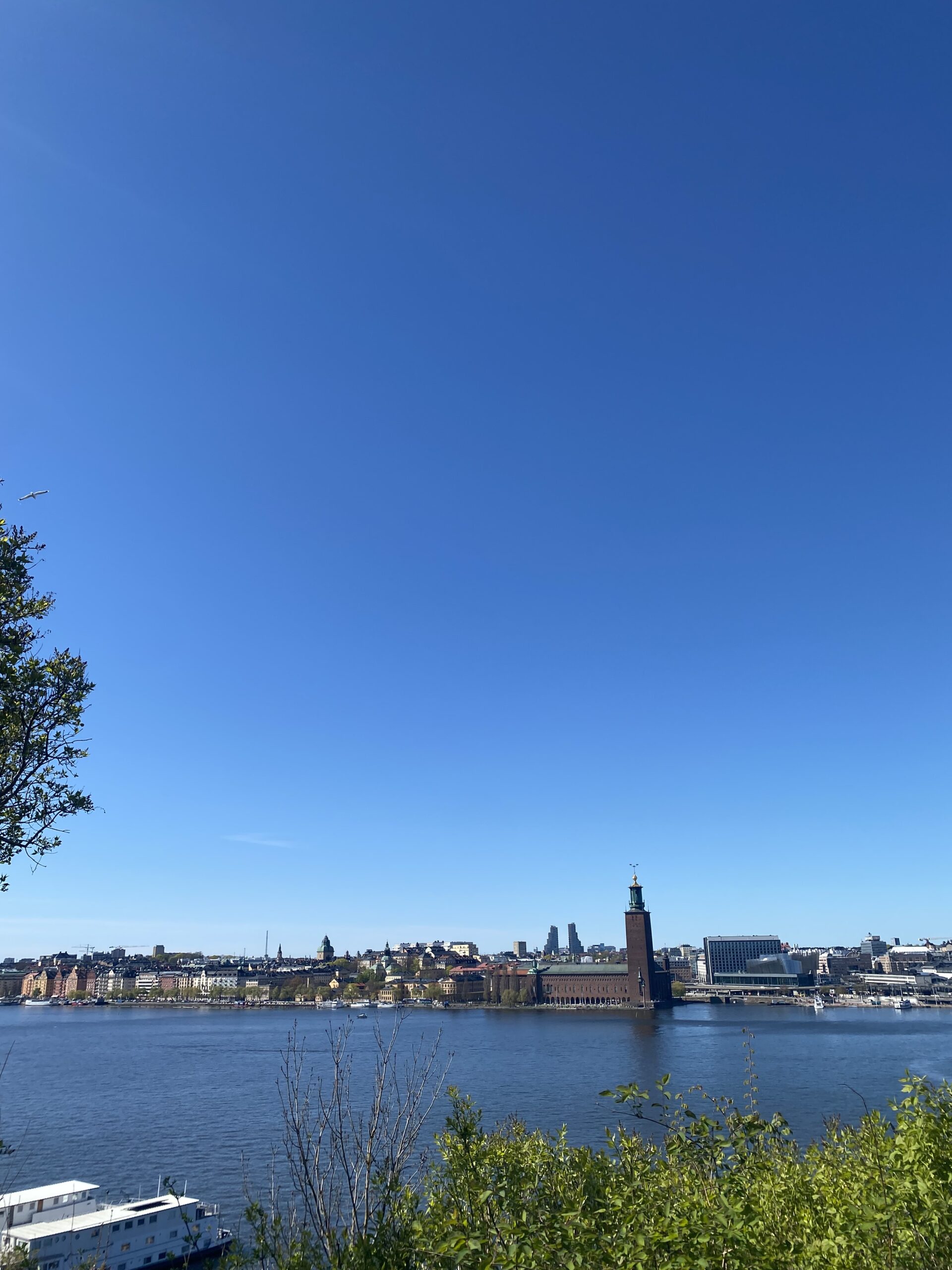 Levandet i nuet