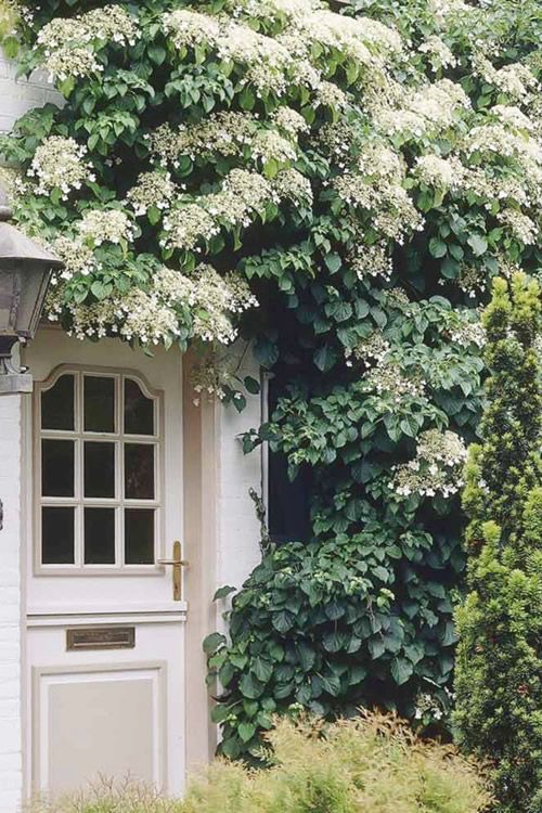 Pinterest lately