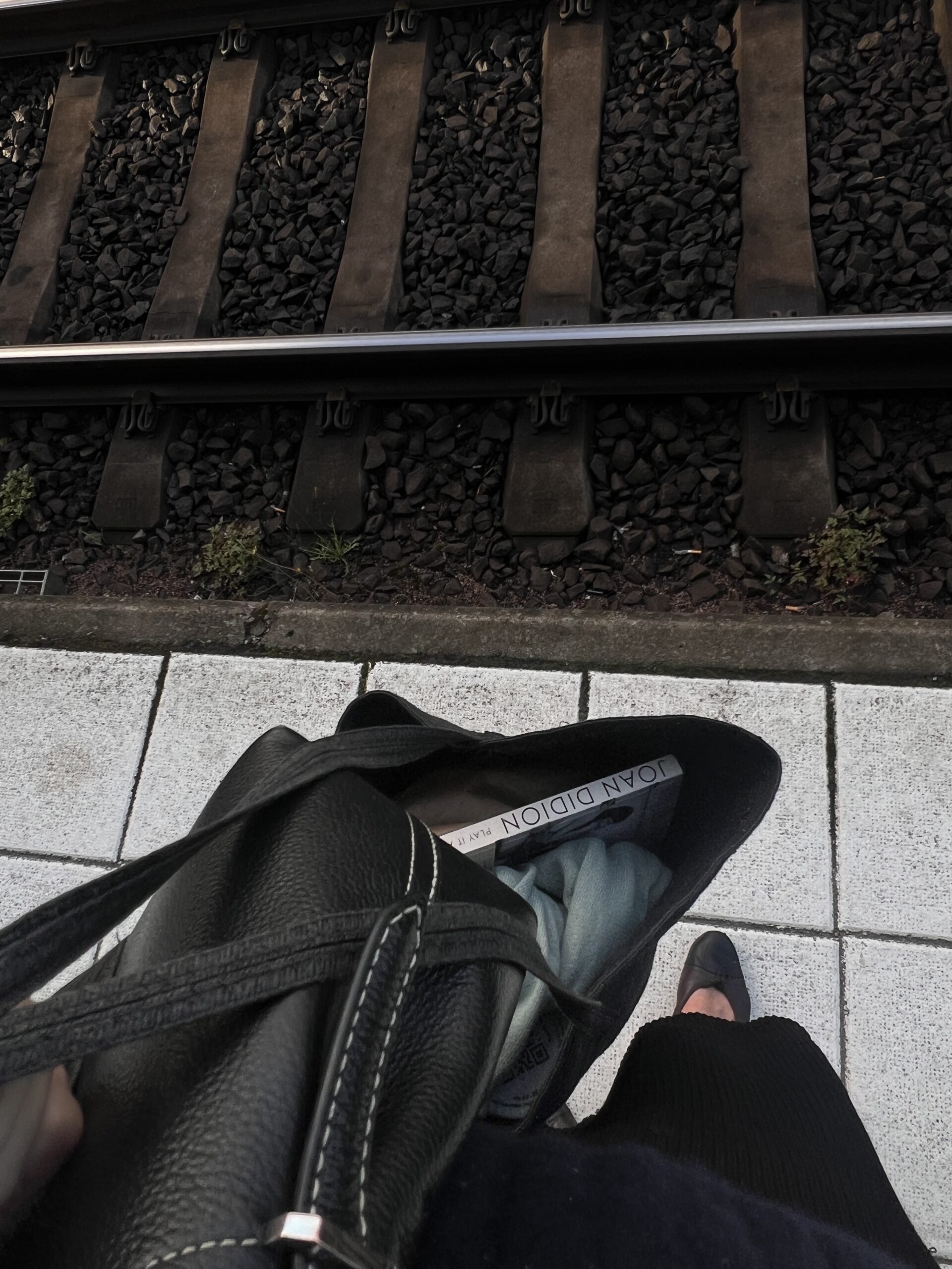 Homeward bound