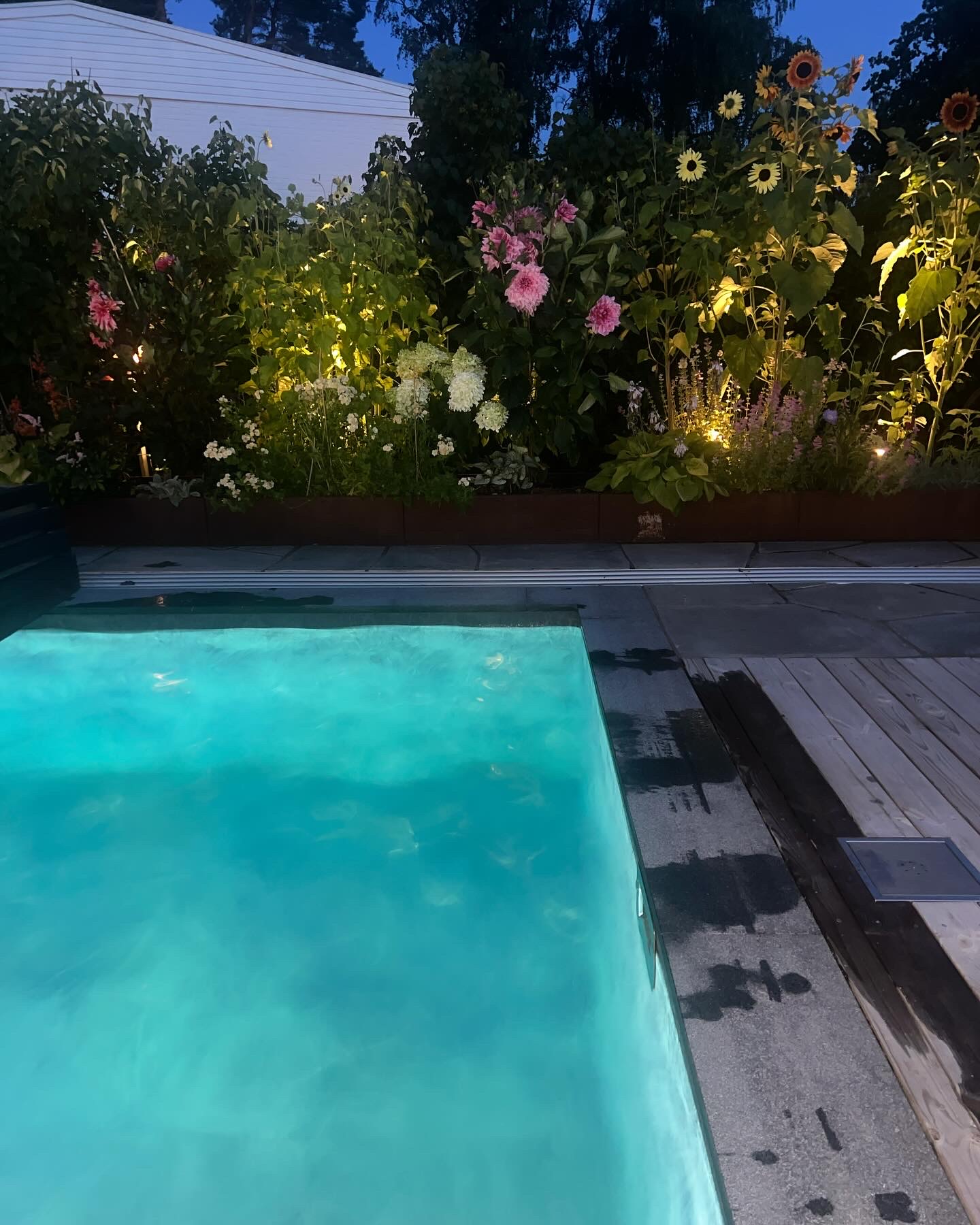 The garden issue