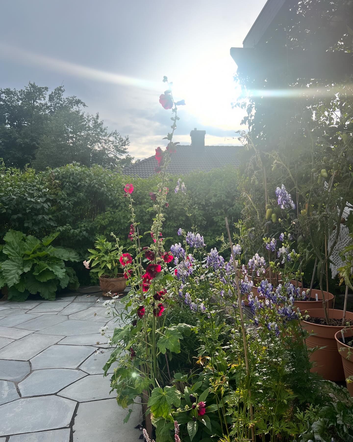 The garden issue