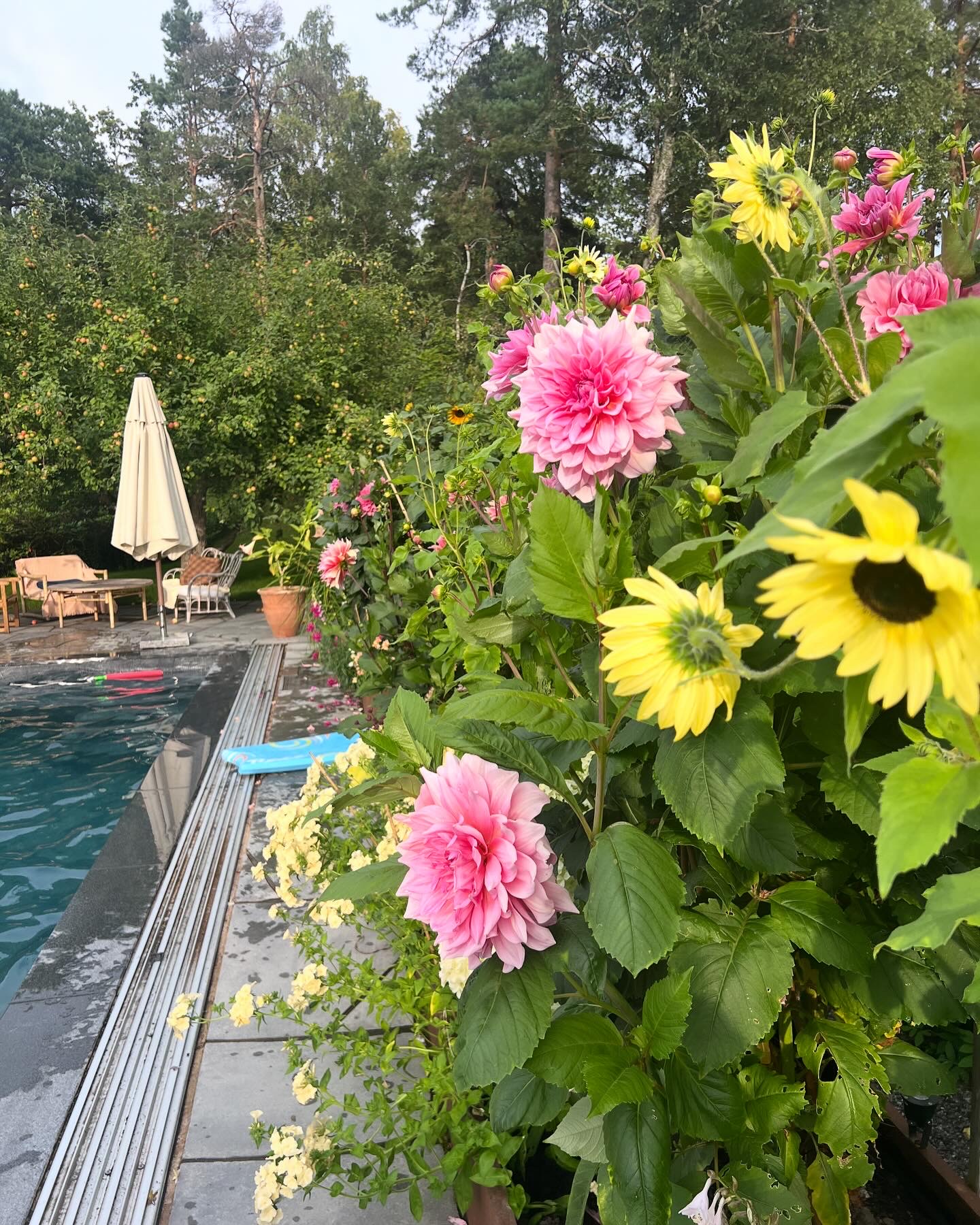 The garden issue