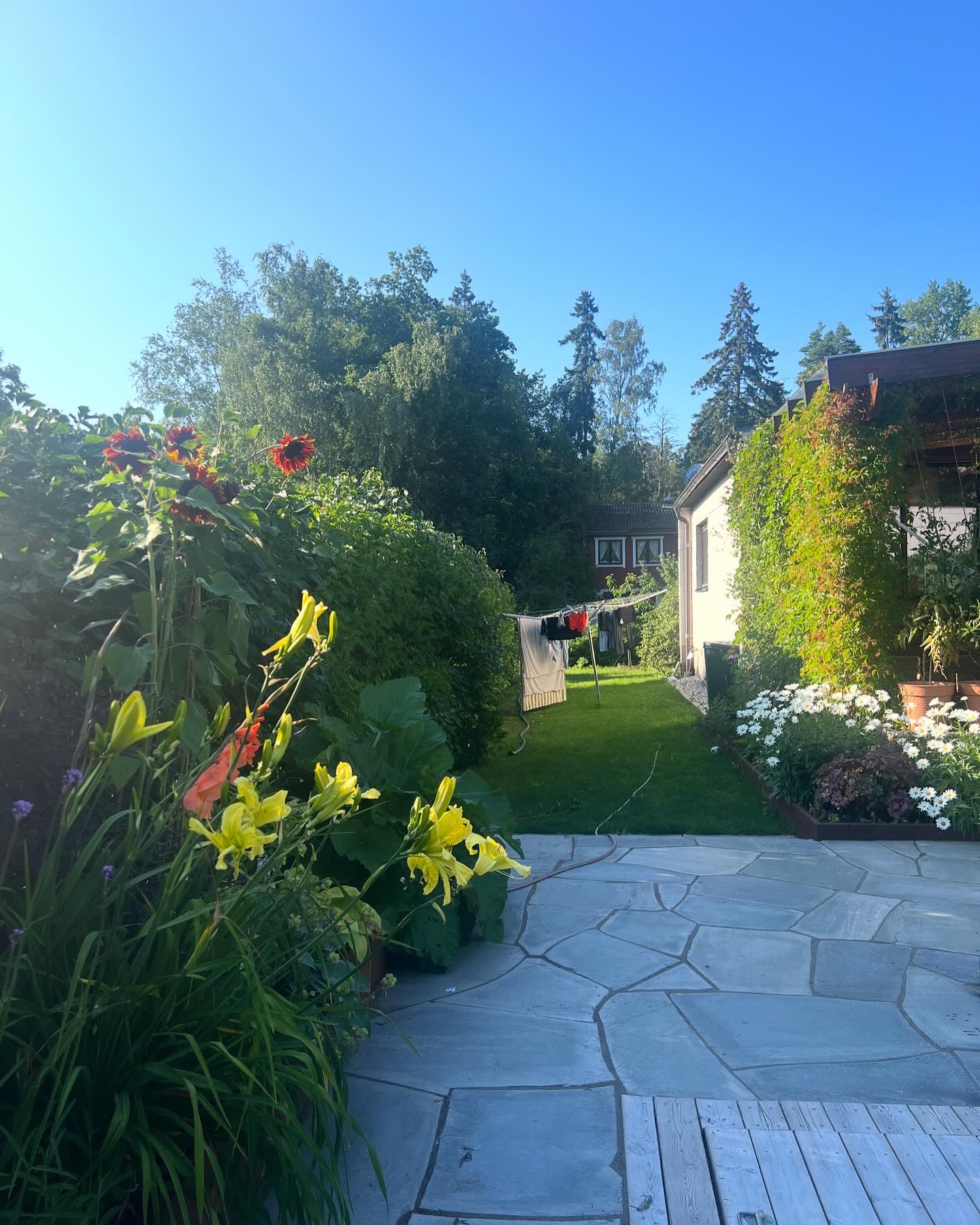 The garden issue