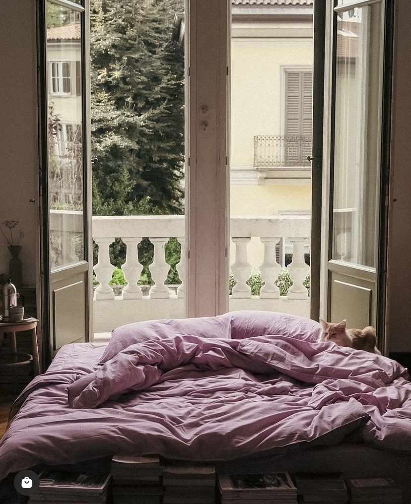 Let a girl dream