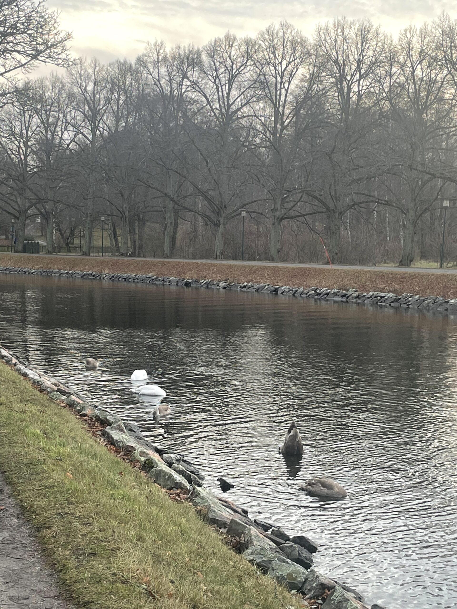 Glædelig Jul