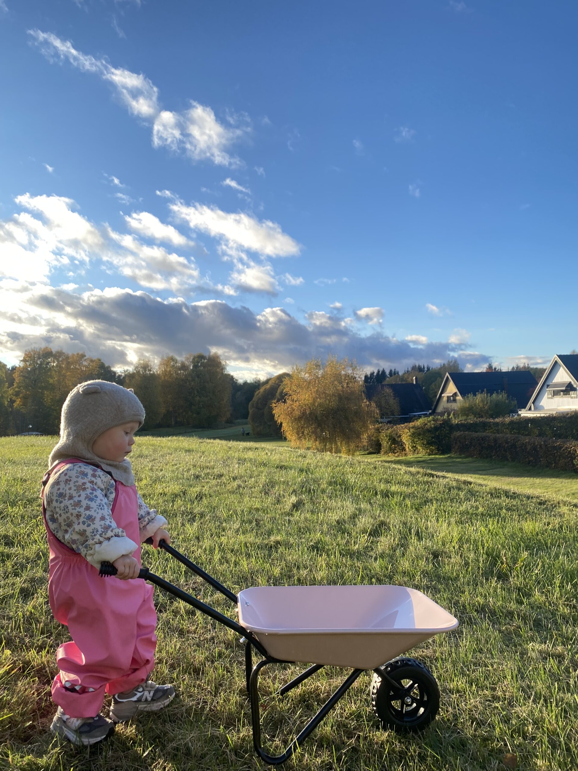 Önskan för 2025