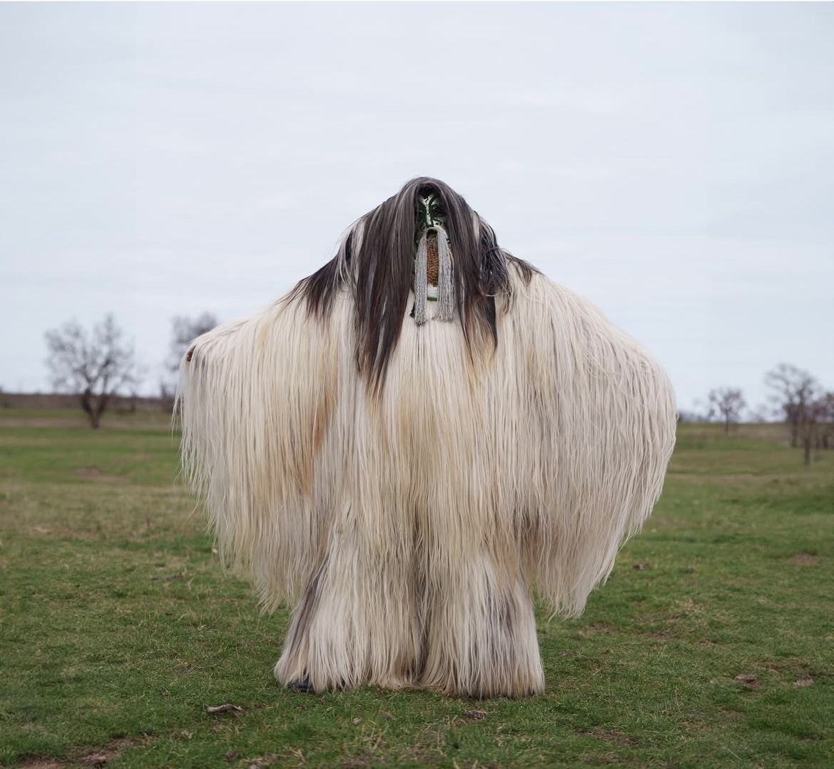 Masked Traditions av Ashley Suszczynski