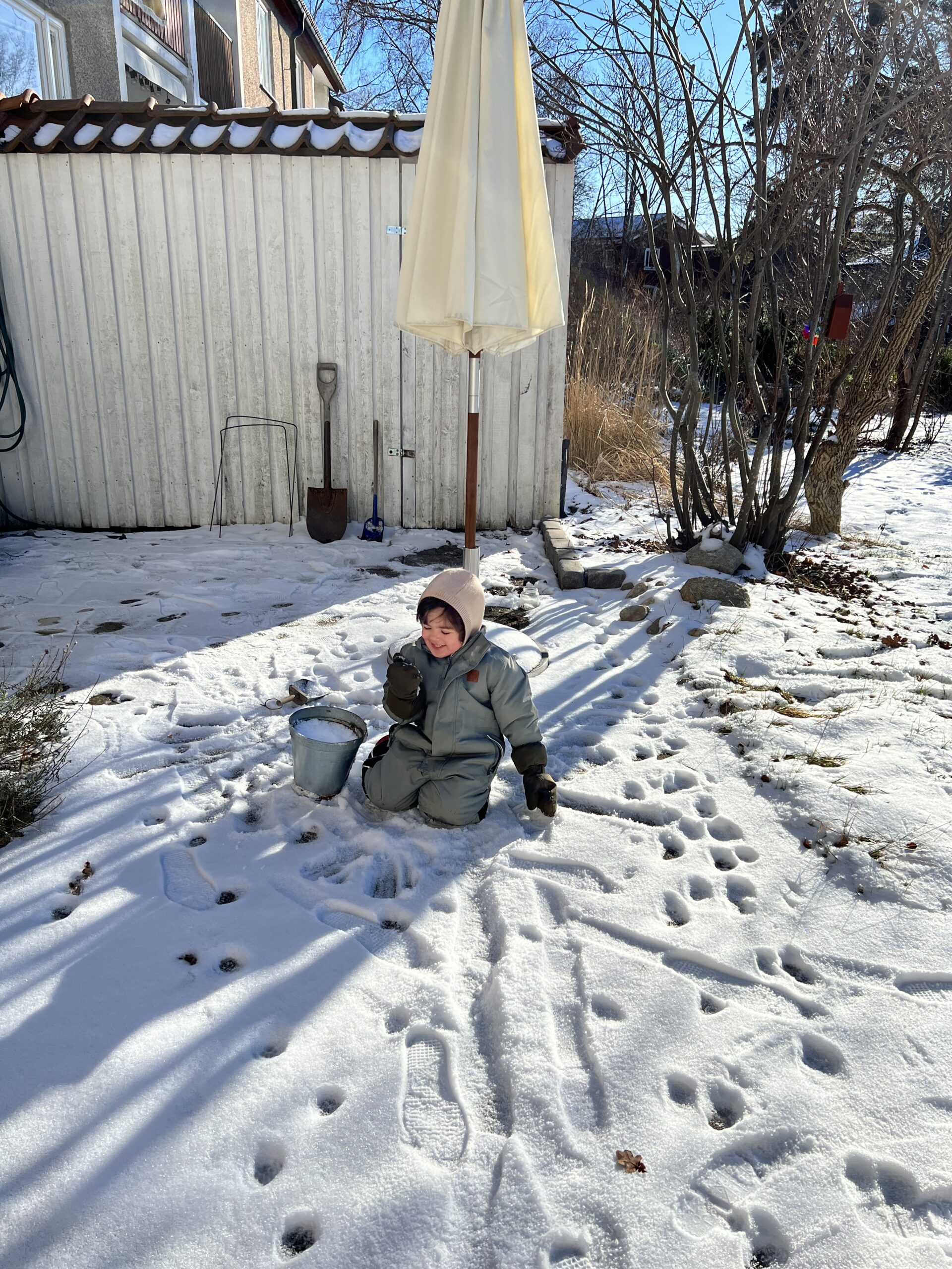 Planera trädgård