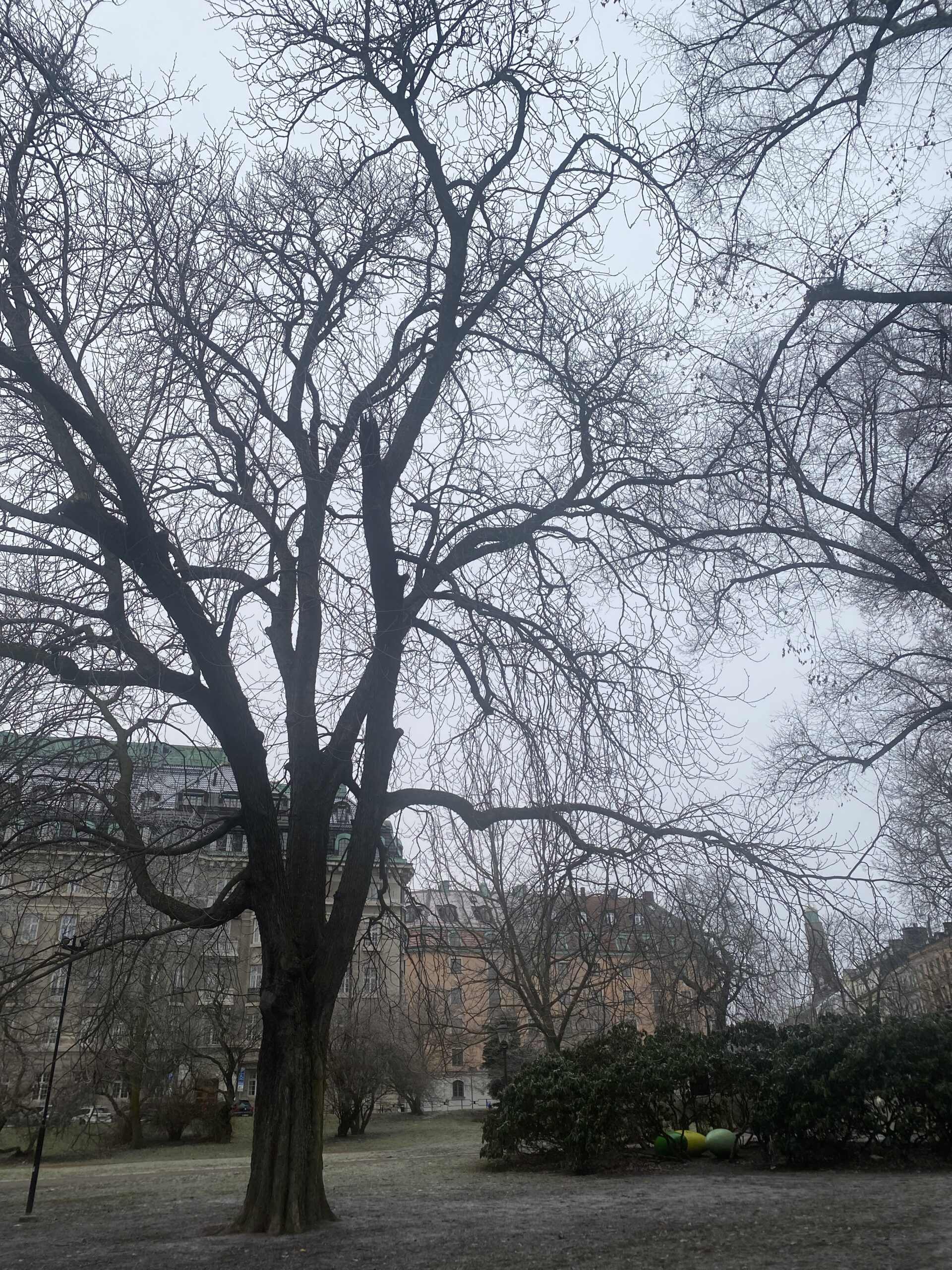 Hämtning