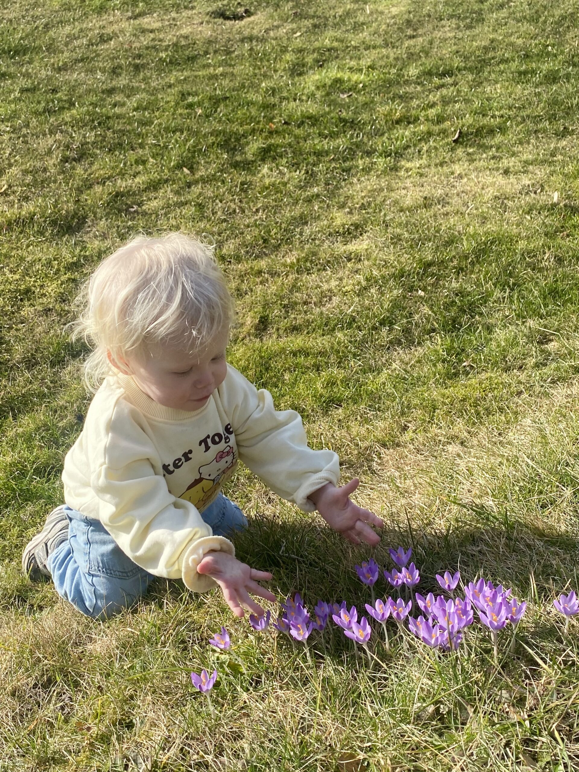 Spring signs