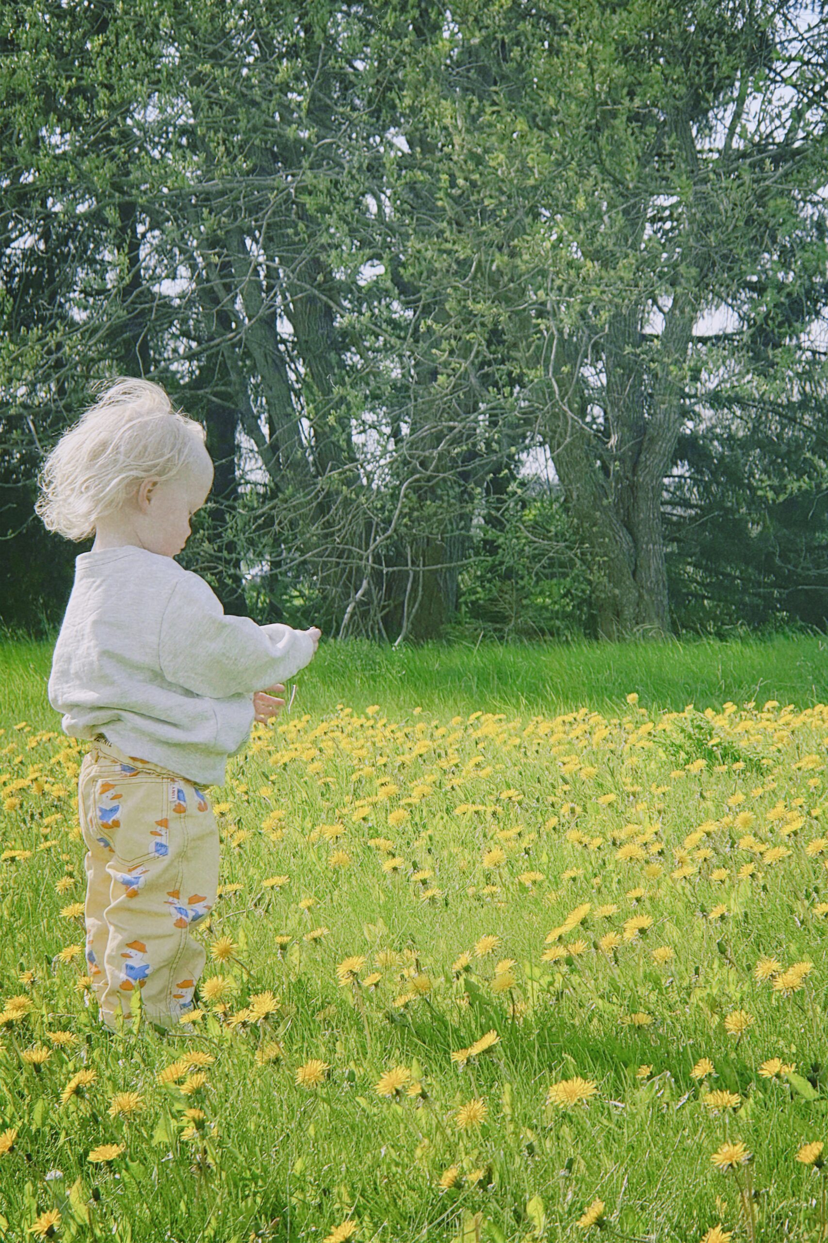 Tiny love