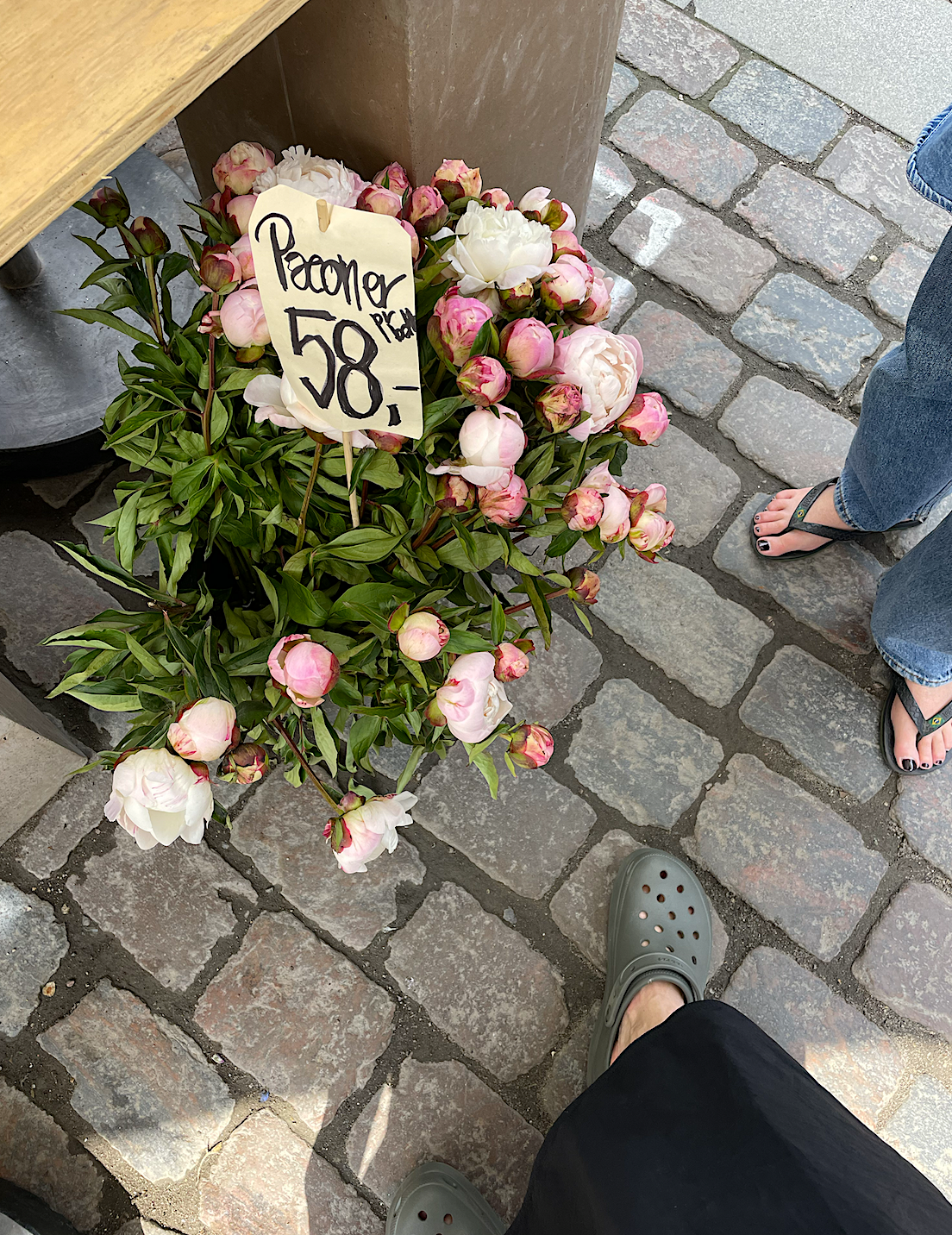 Örtig lemonad & svärdfiskragu..
