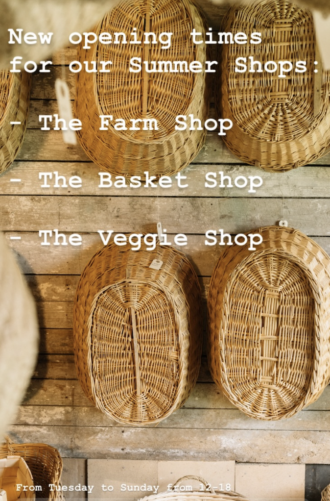 The basket shop..