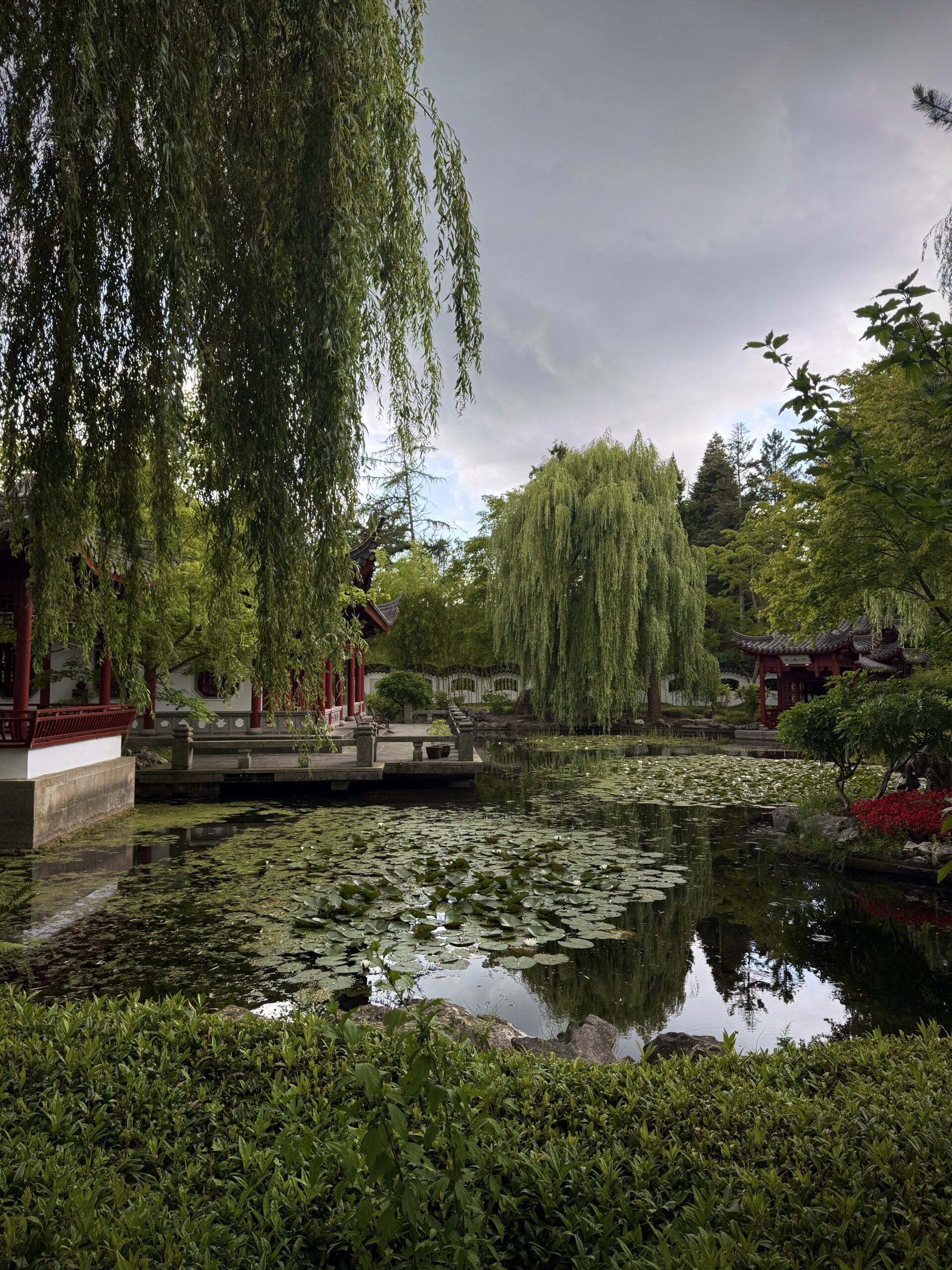 Drömsk botanisk trädgård