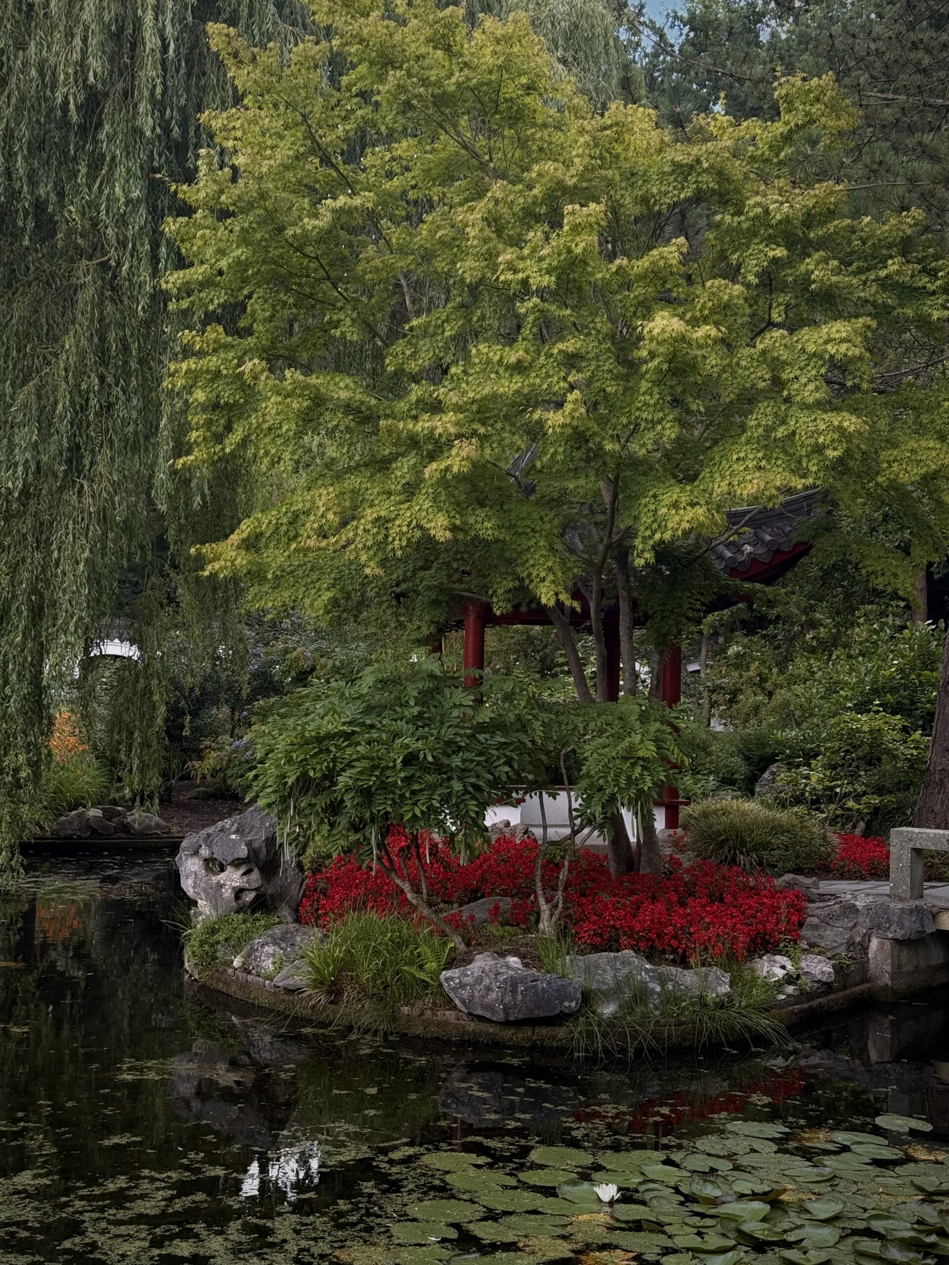 Drömsk botanisk trädgård