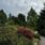 Drömsk botanisk trädgård