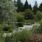 Drömsk botanisk trädgård