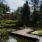 Drömsk botanisk trädgård