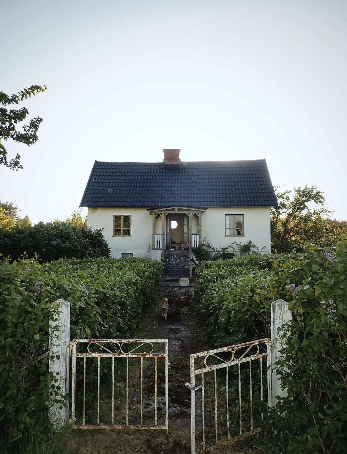 Villa Viola