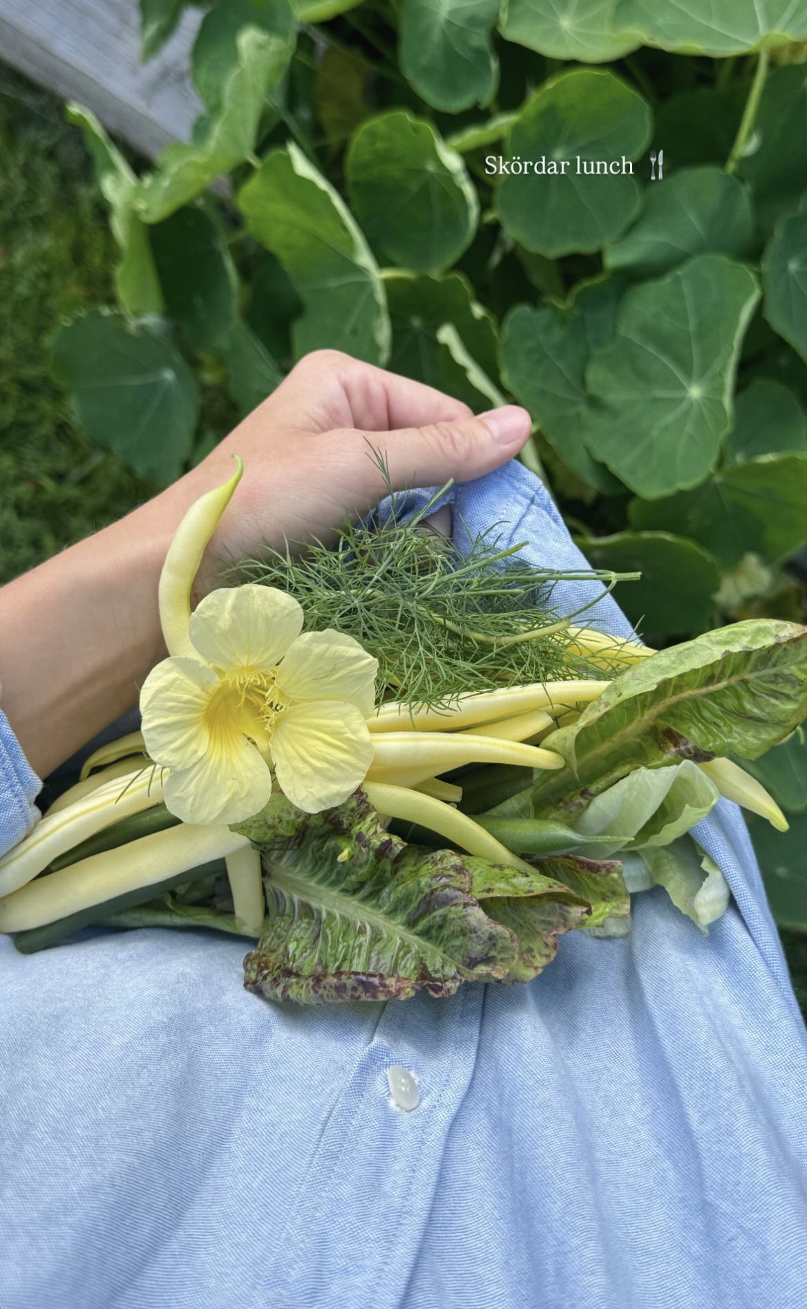 Blomsterkrasse och bistromat..