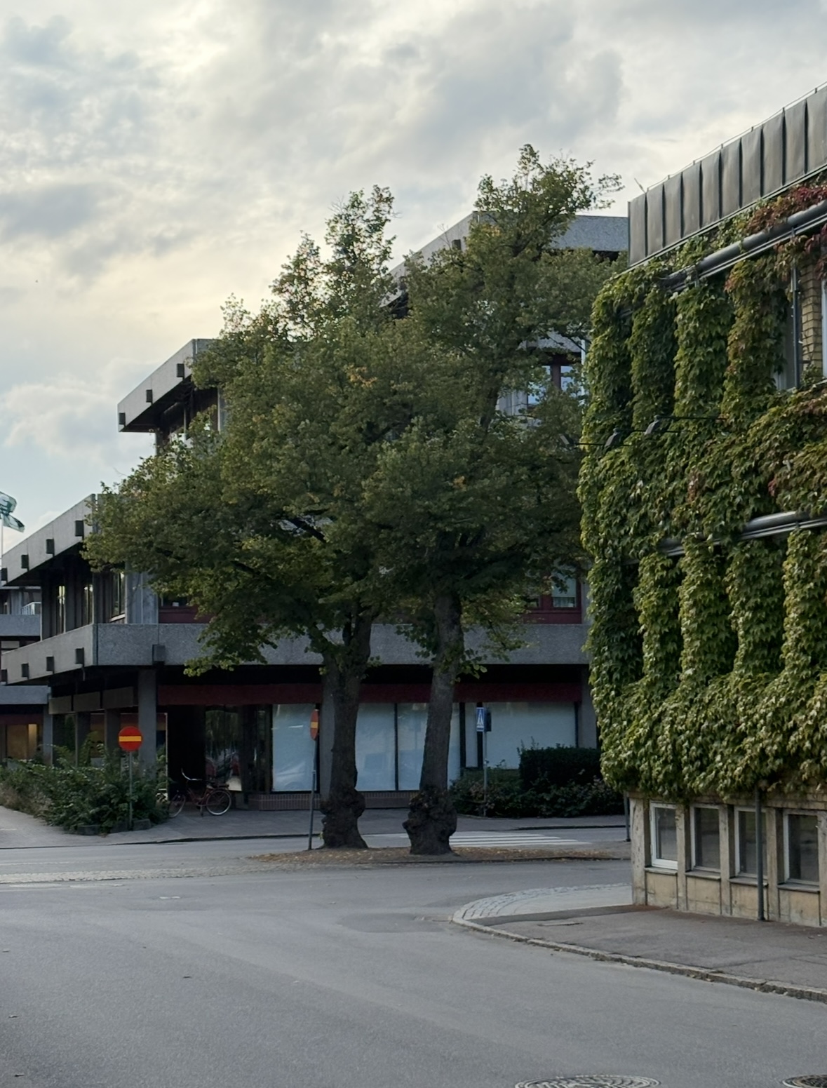 Höstterminen
