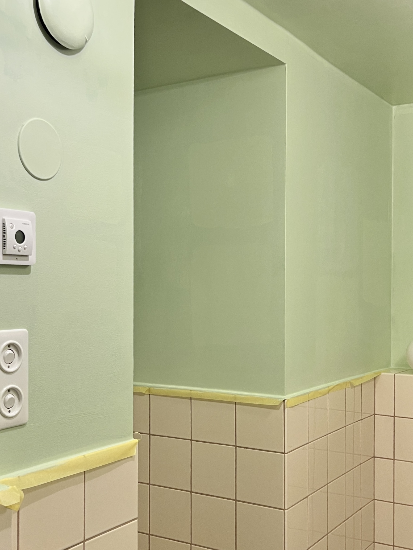 Update on the toilet renovation