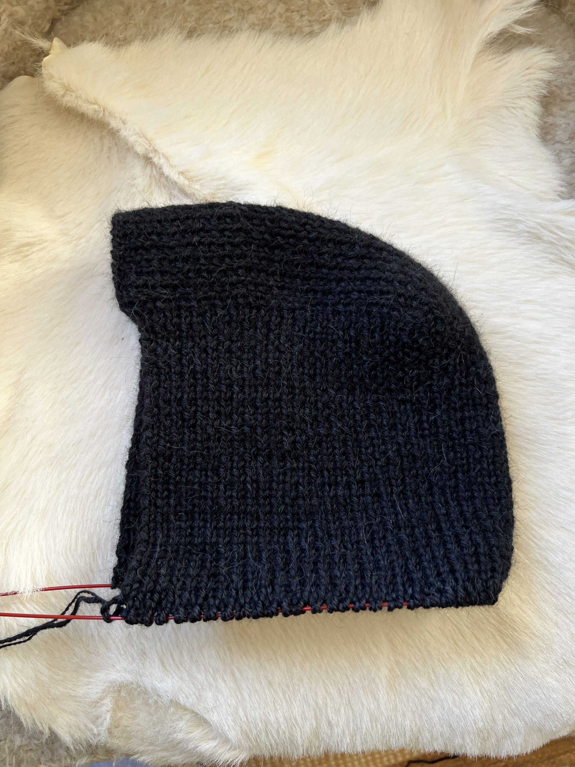 The return of the gourmet and a great purification