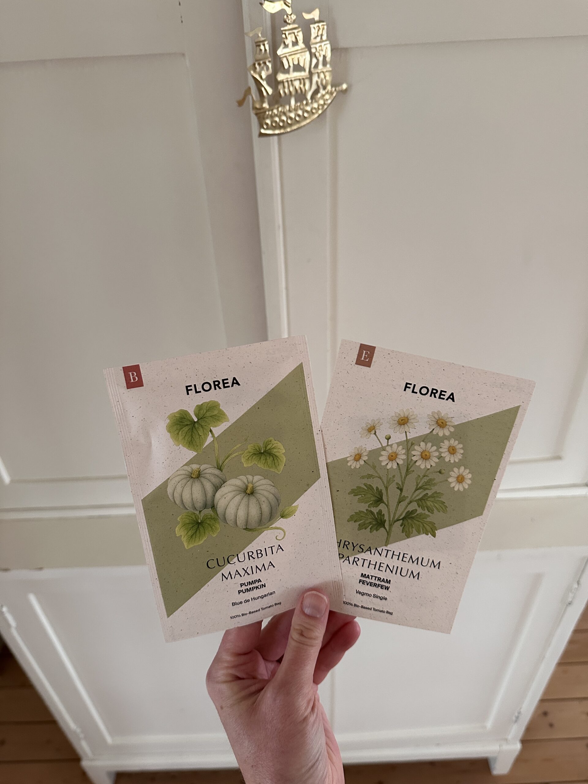Trädgården och vad jag vill odla i år