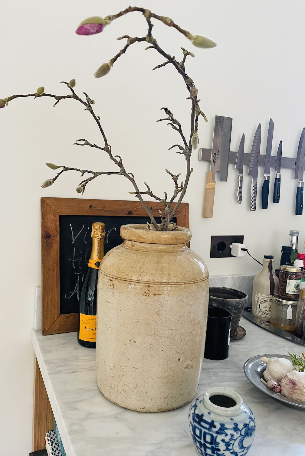 Magnolia, agretti & plusgrader