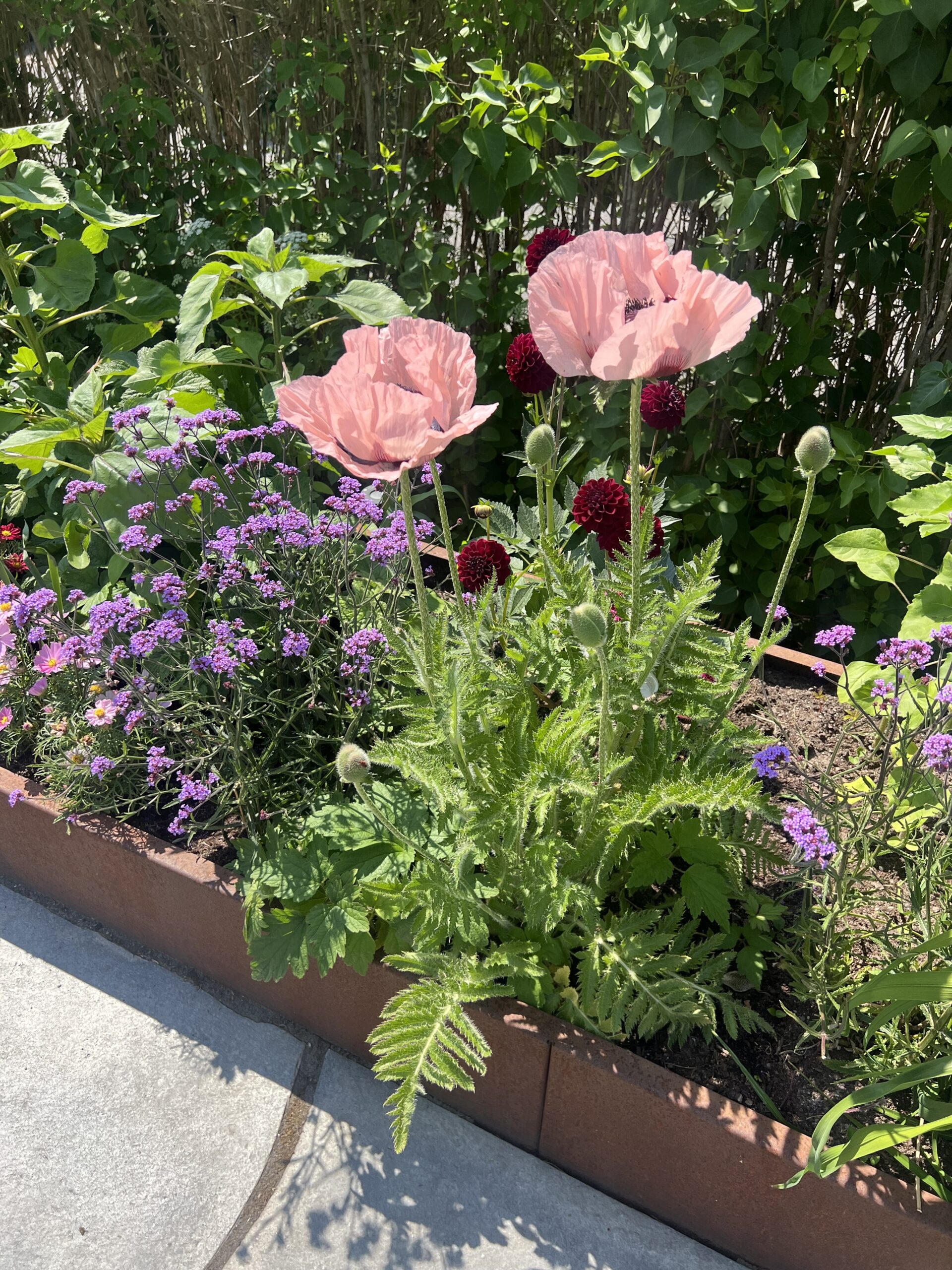 Stockholm in June, the garden and summer jewels by Novi studio