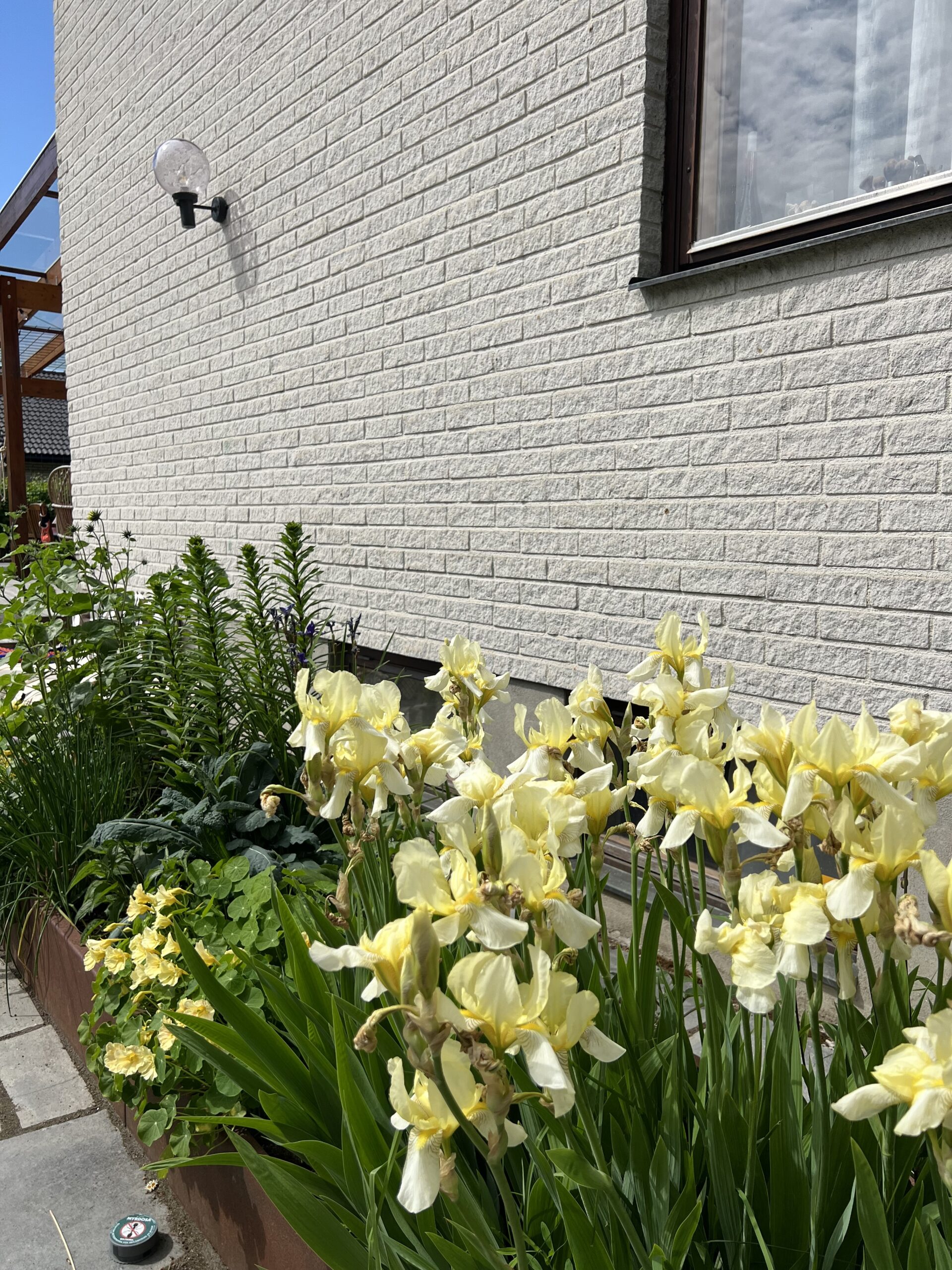 Stockholm in June, the garden and summer jewels by Novi studio