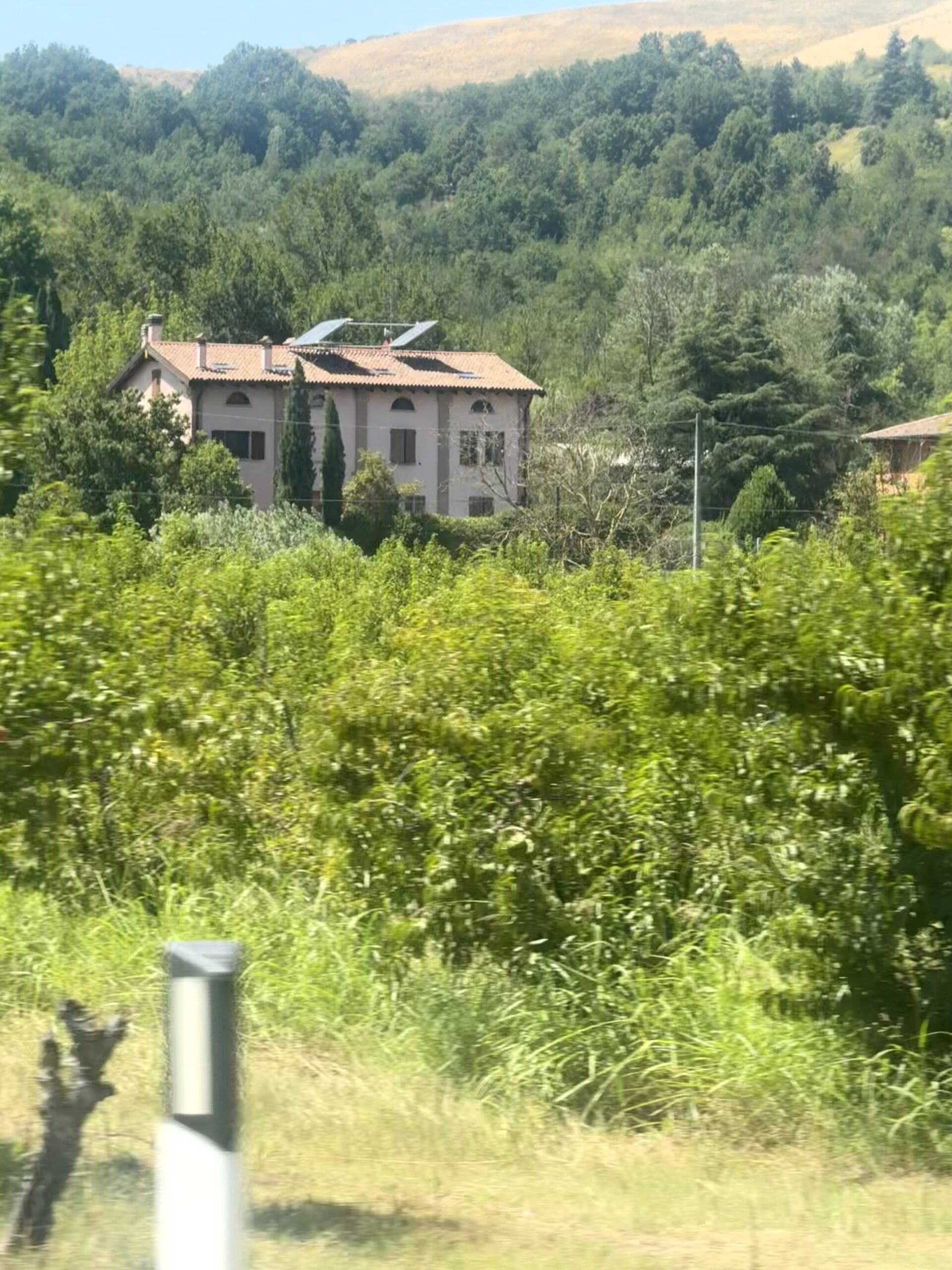 il cavicchio