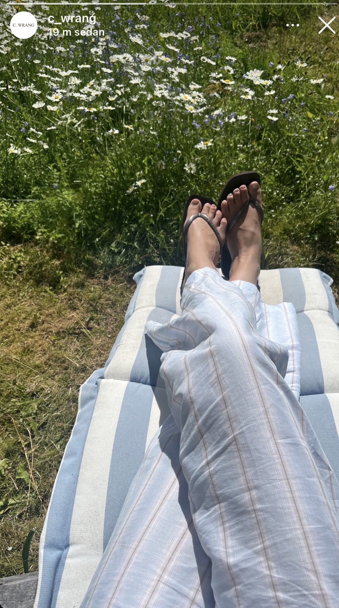 Summer Screenshots