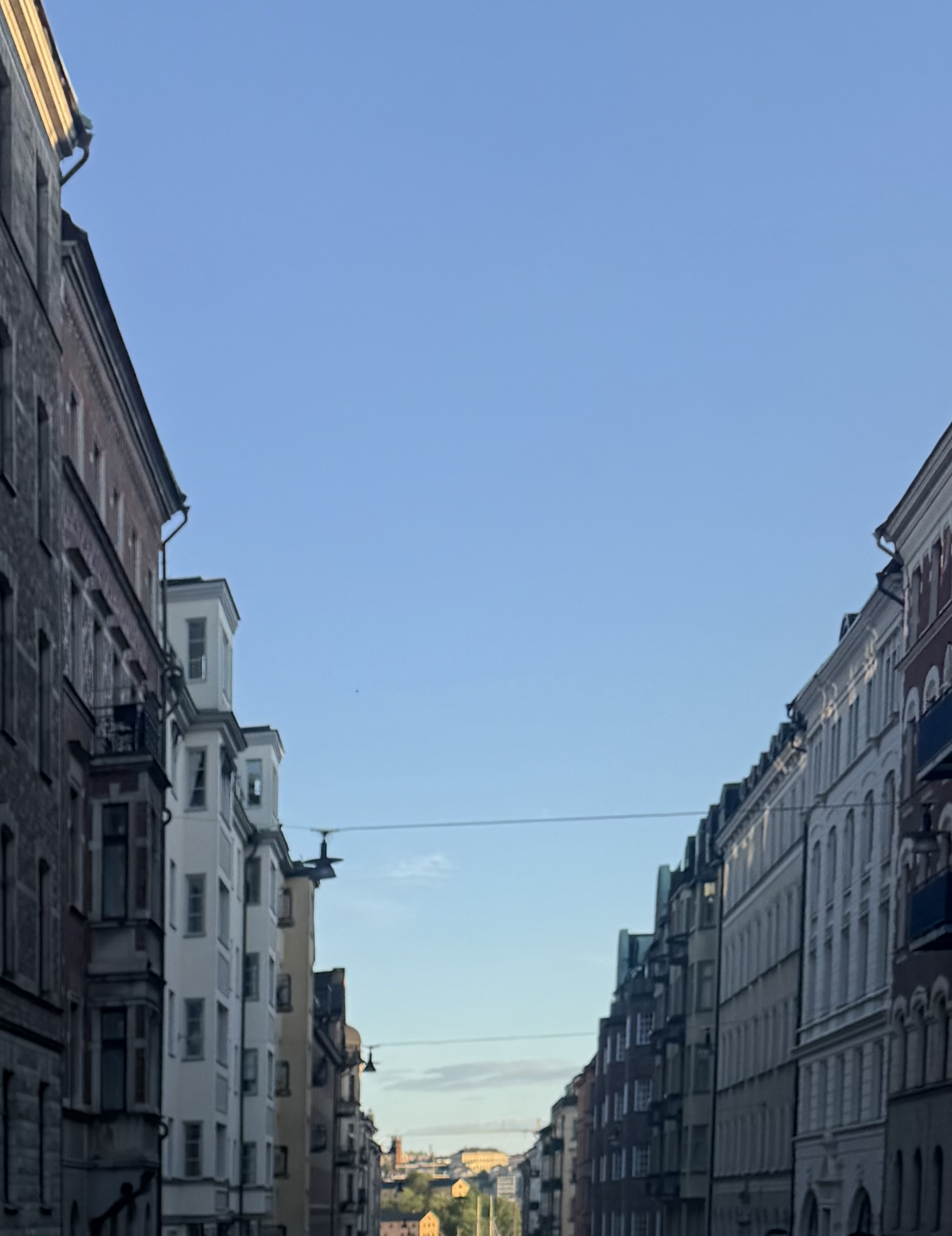 non grata