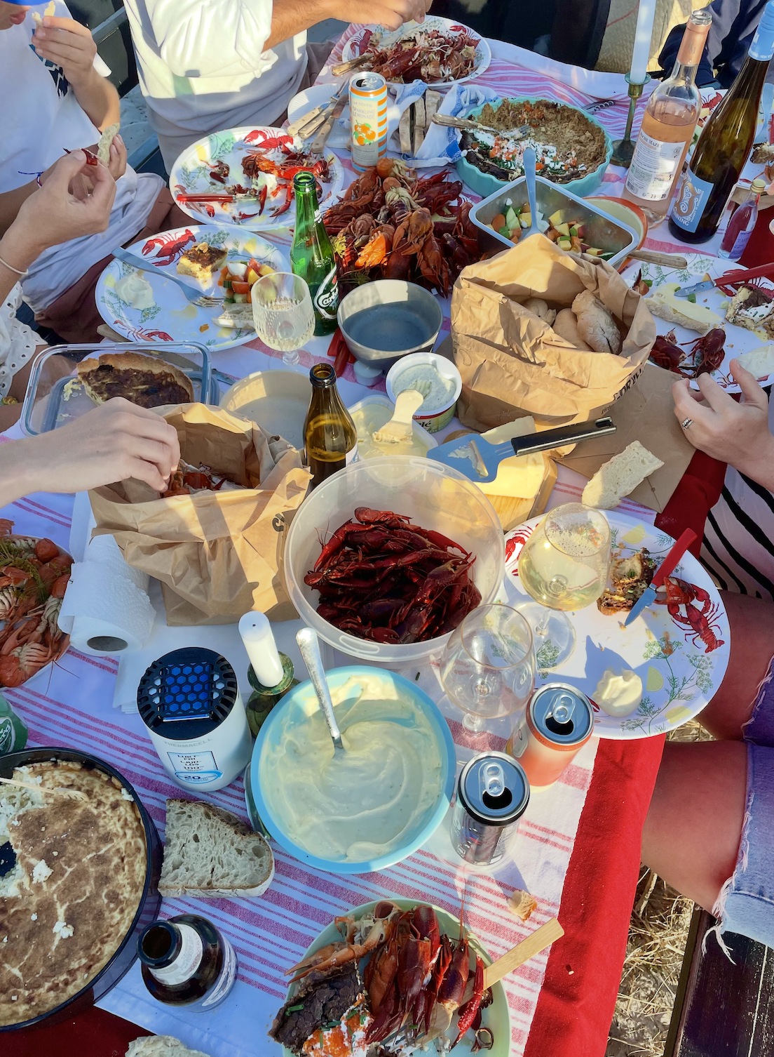 En kväll på stranden..