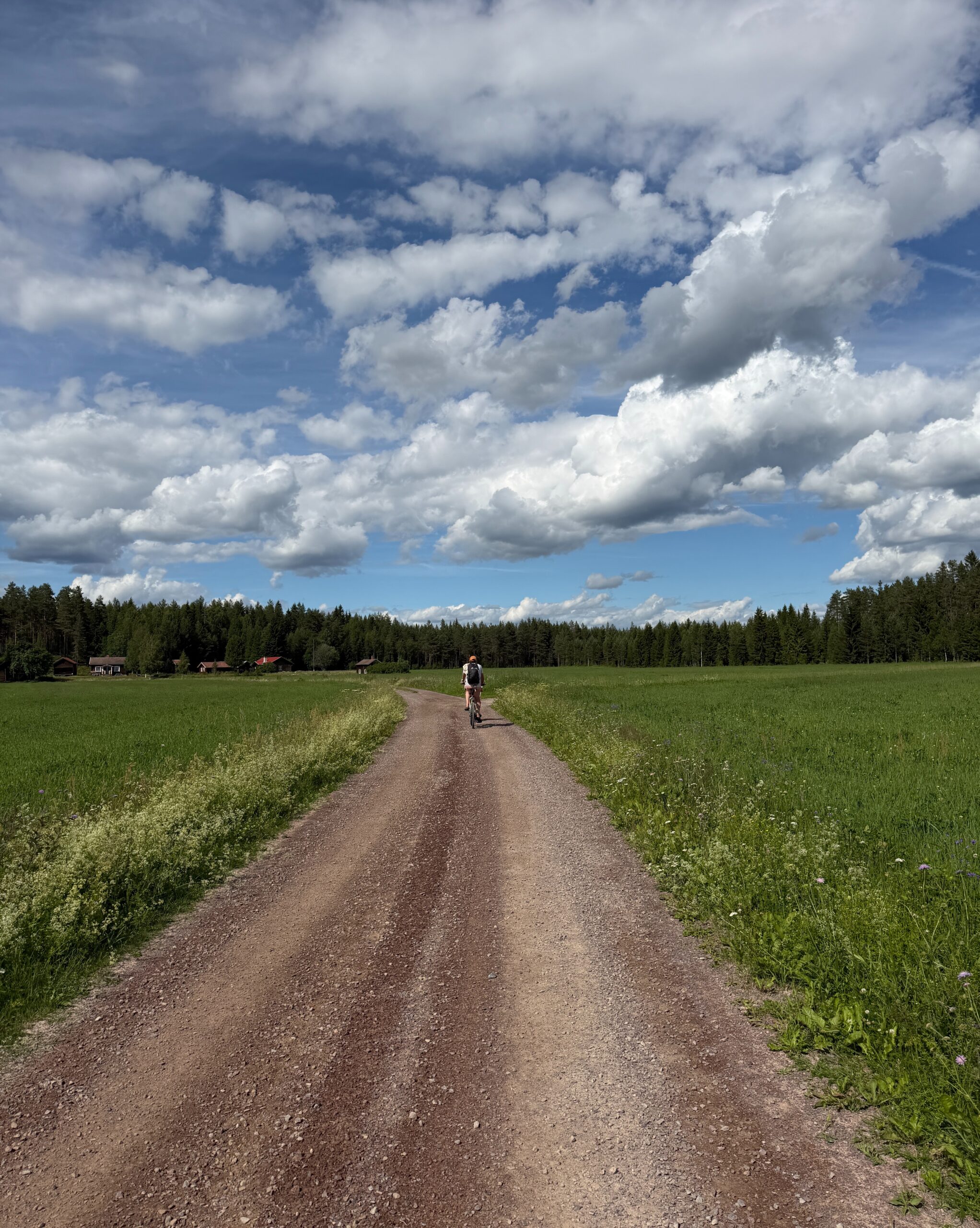Sommaren i Dalarna