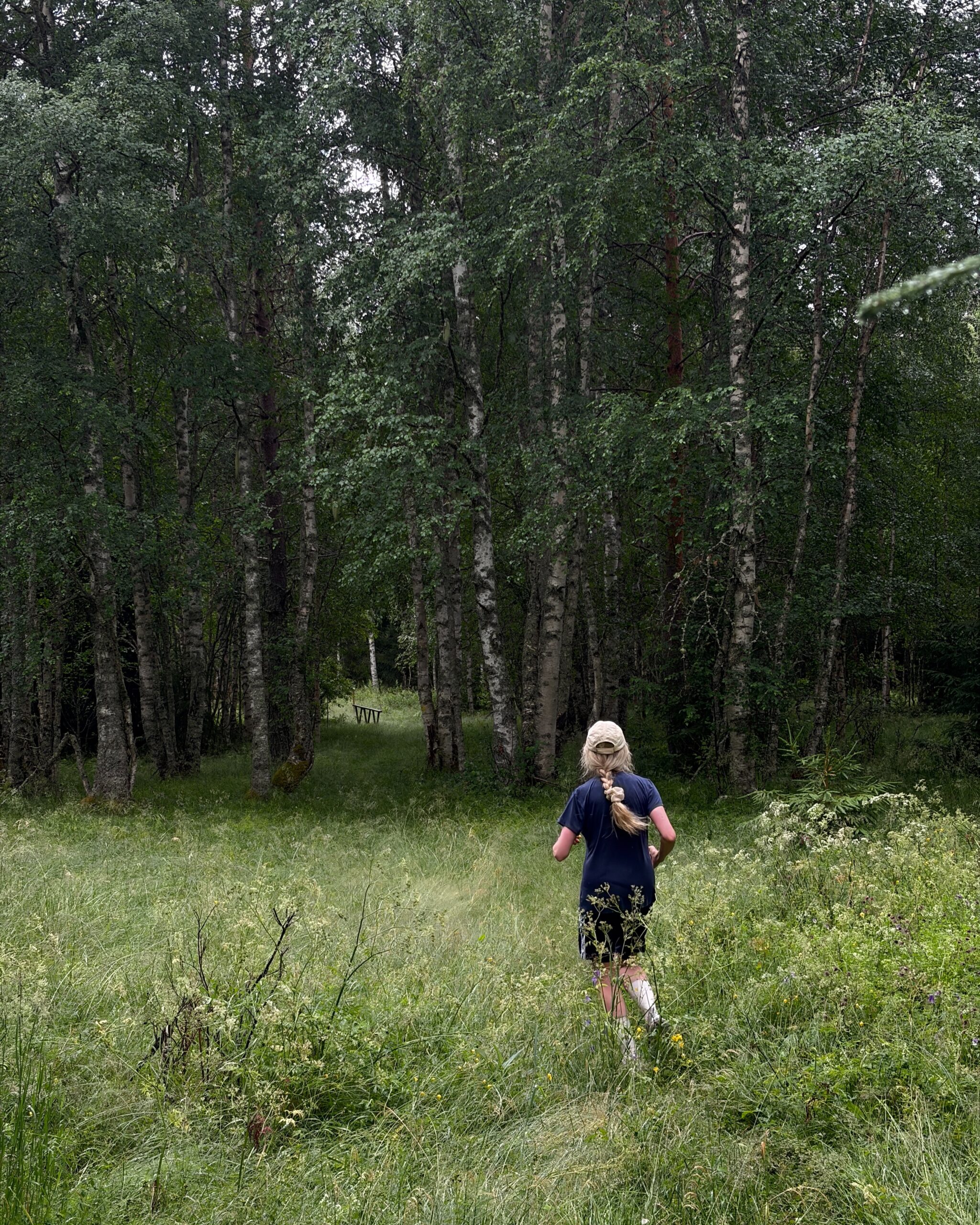 Sommaren i Dalarna