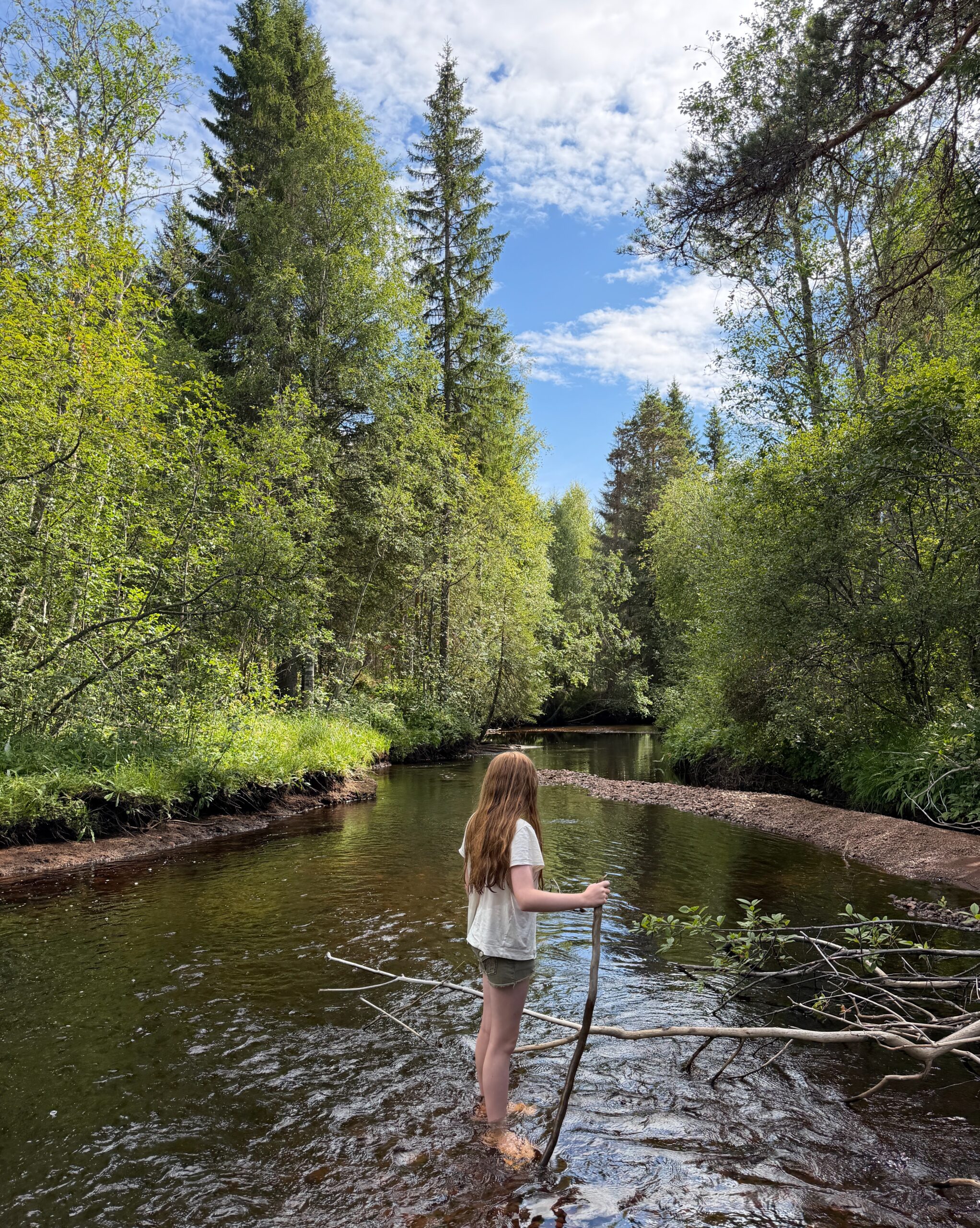 Sommaren i Dalarna