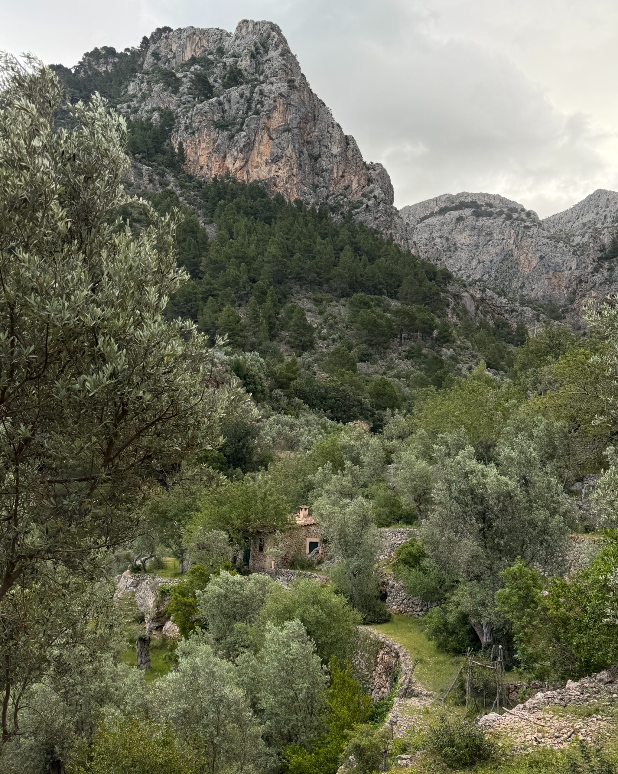 Mallorca och Serra de Tramuntana