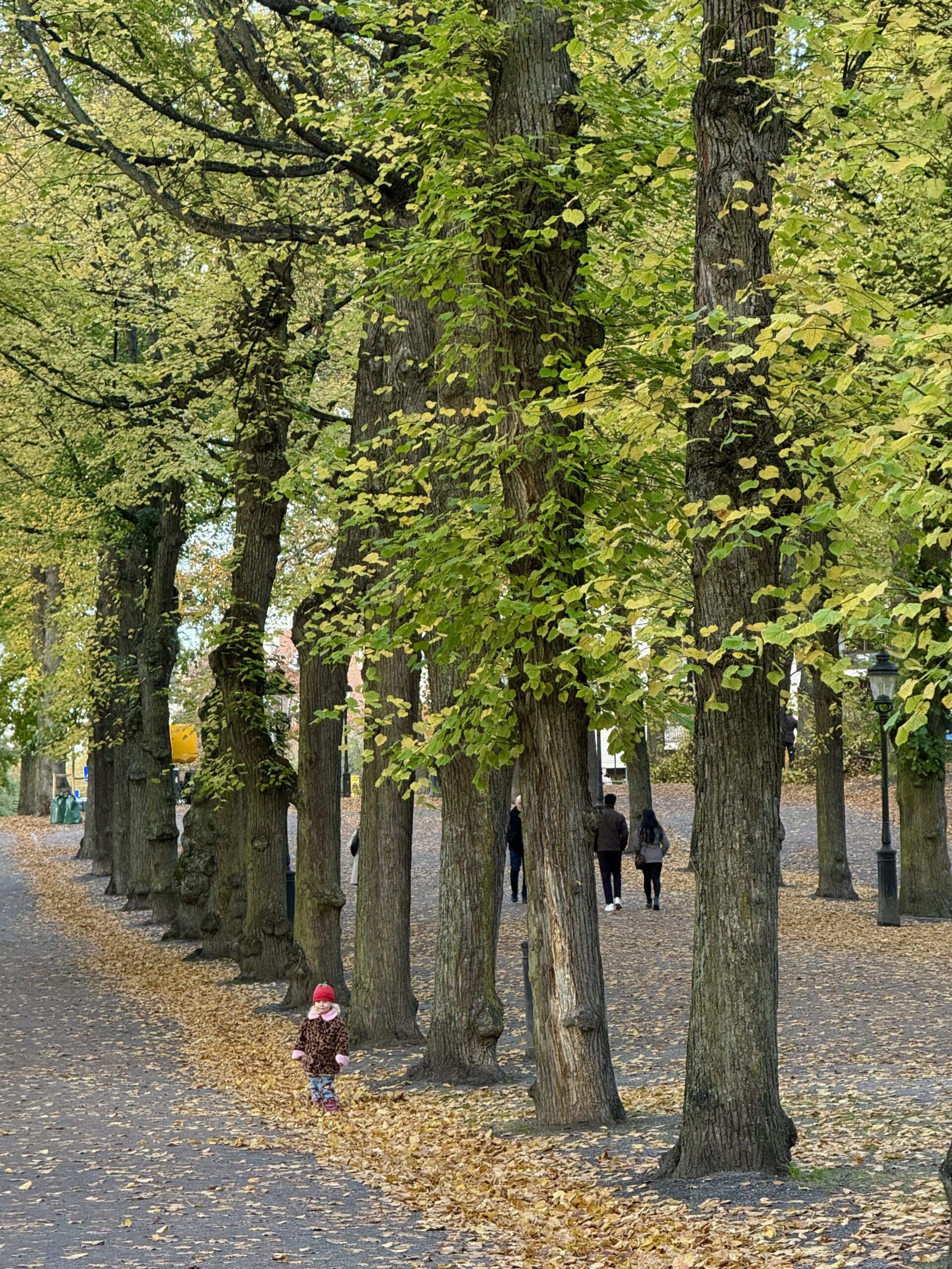 autumn